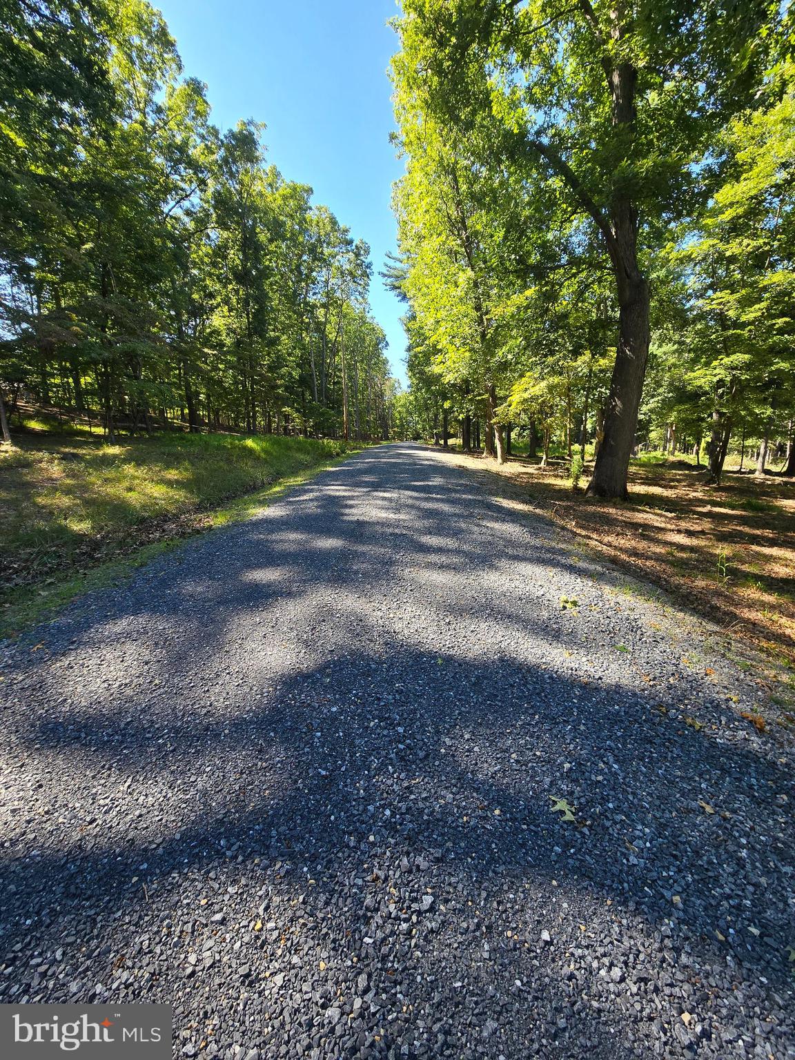 MISTY MEADOWS - Land
