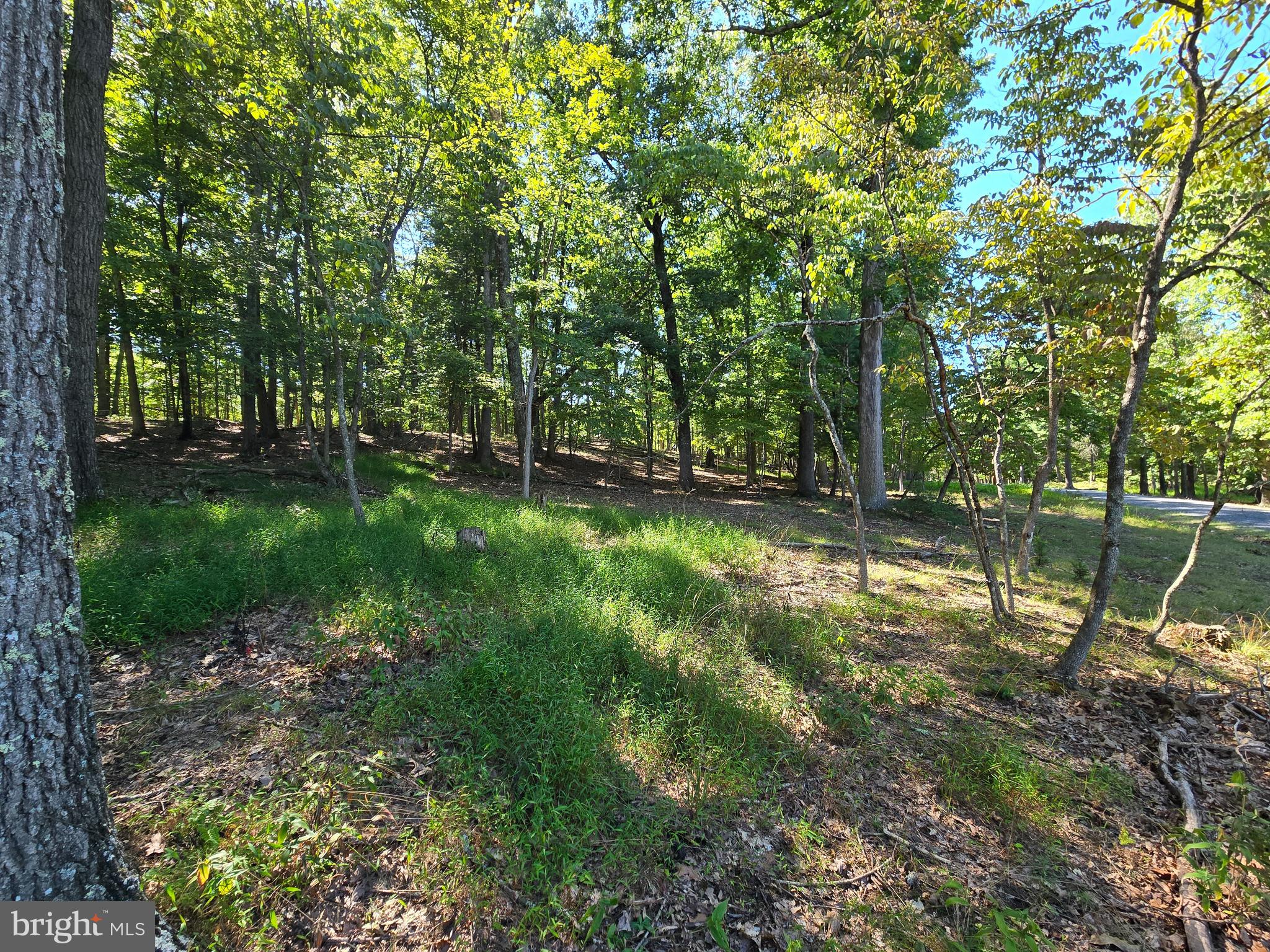 MISTY MEADOWS - Land