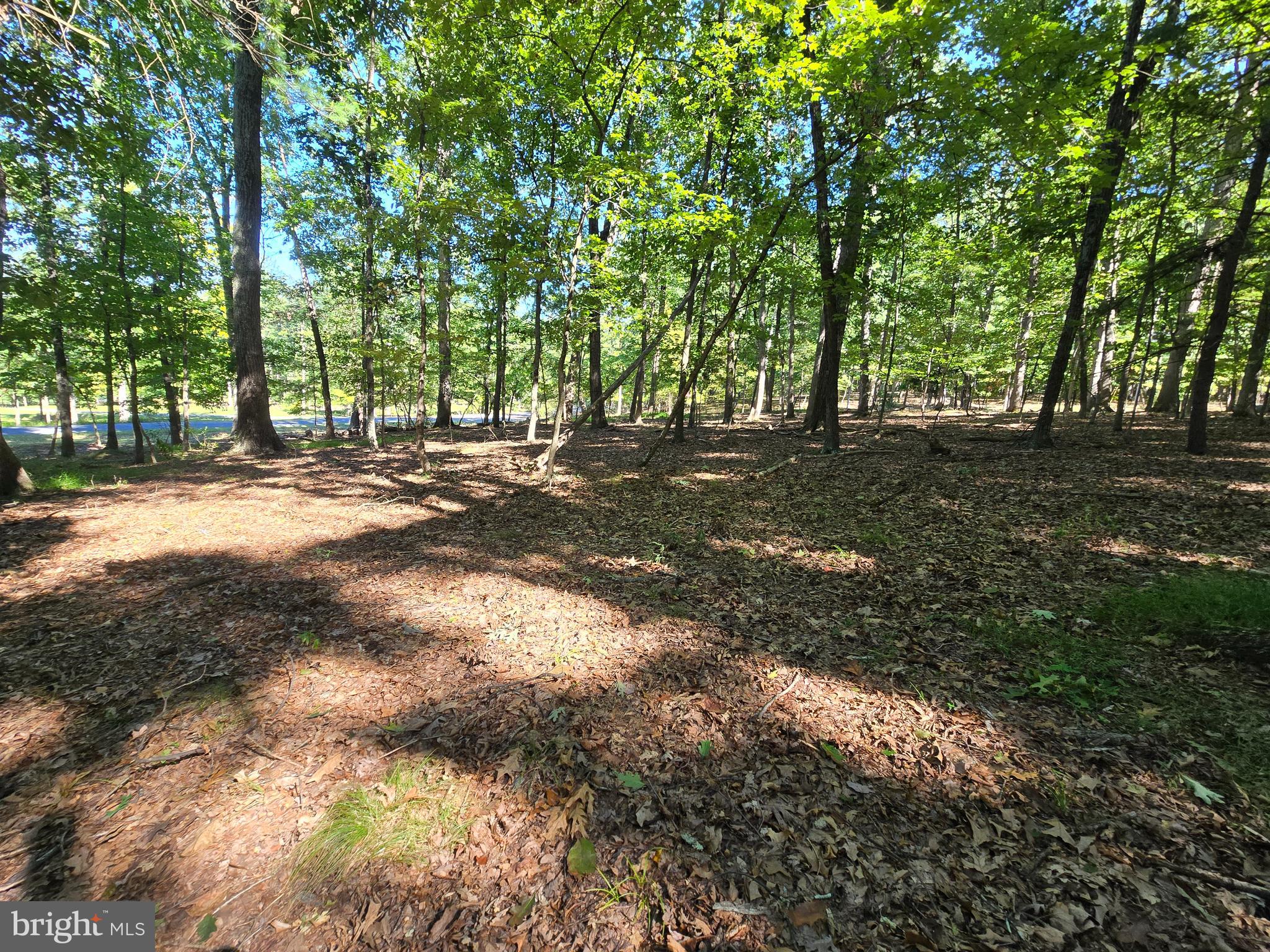 MISTY MEADOWS - Land