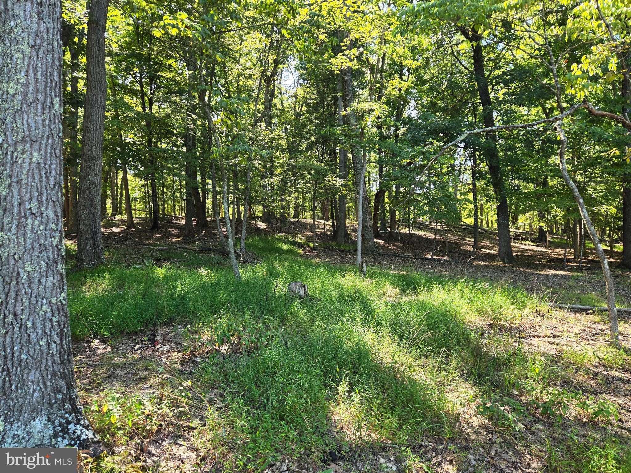 MISTY MEADOWS - Land