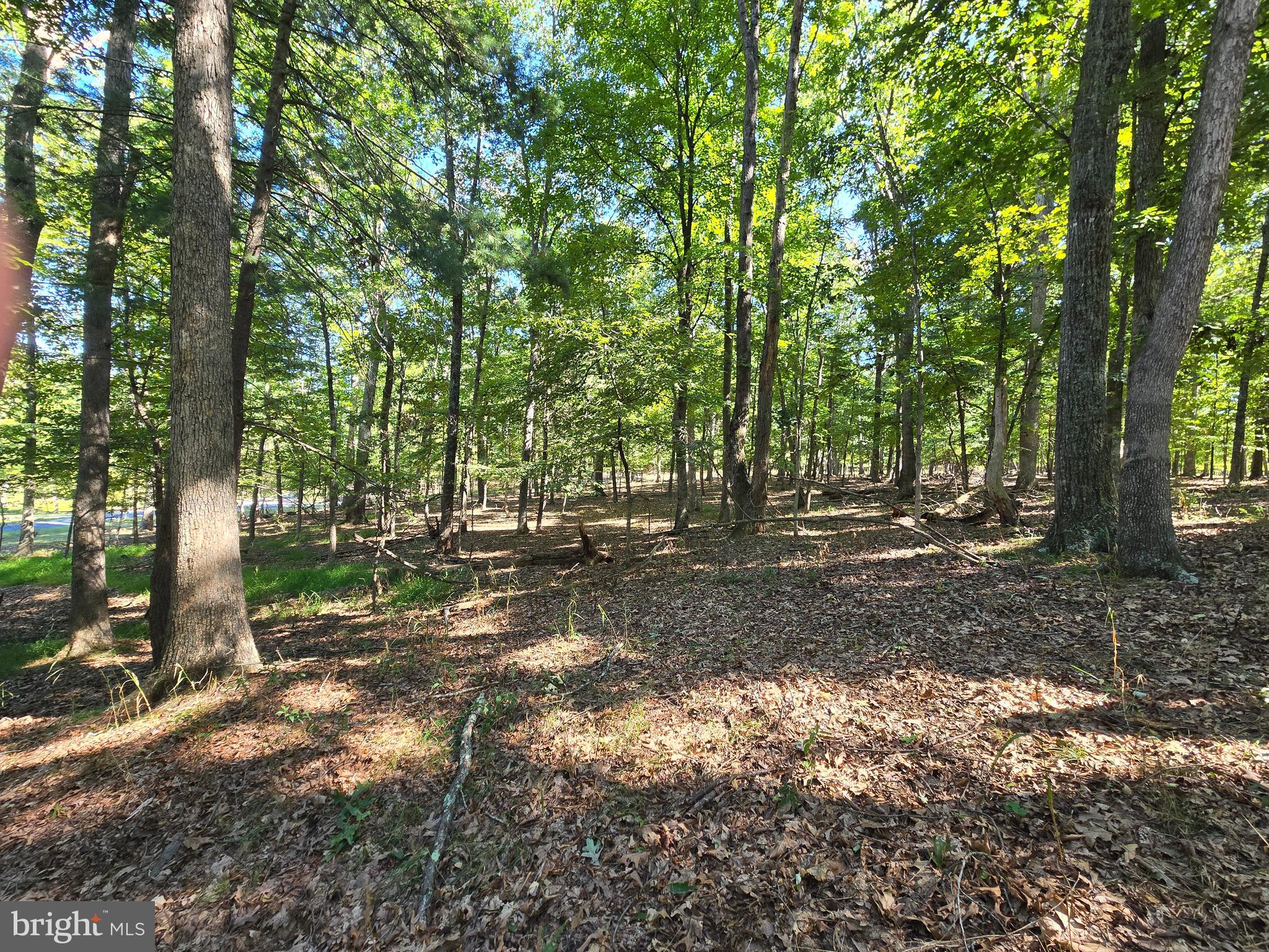 MISTY MEADOWS - Land