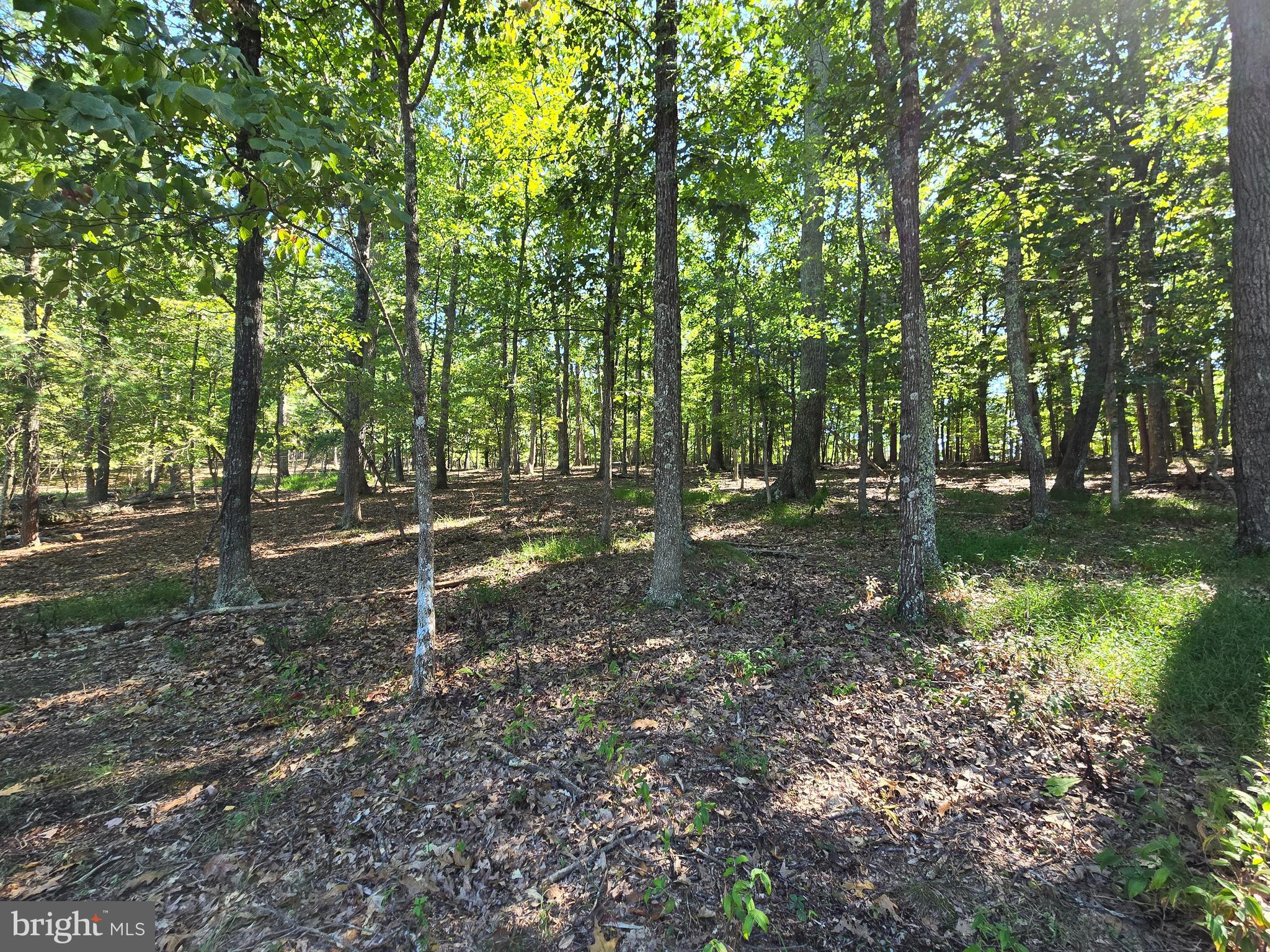 MISTY MEADOWS - Land