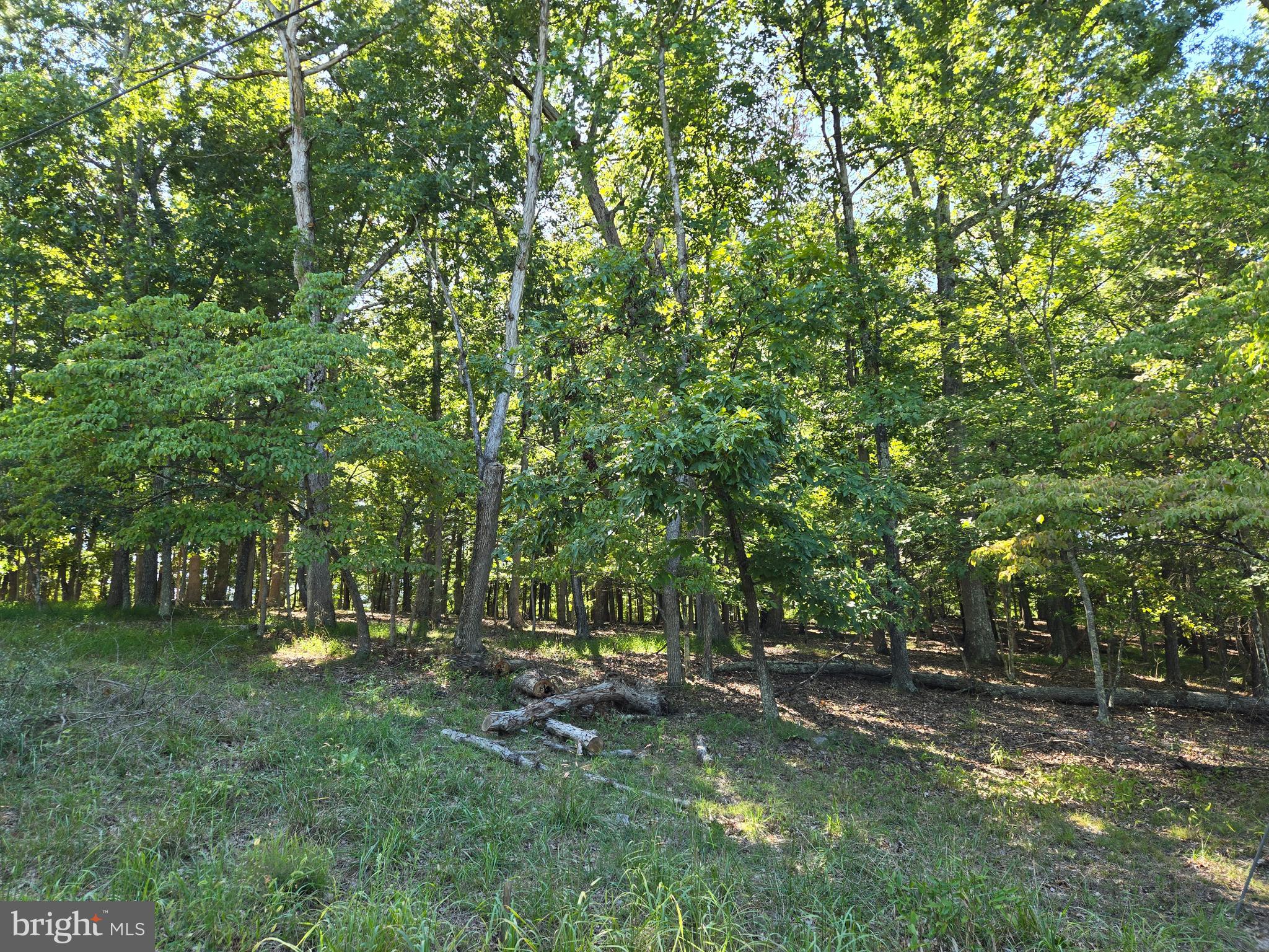 MISTY MEADOWS - Land