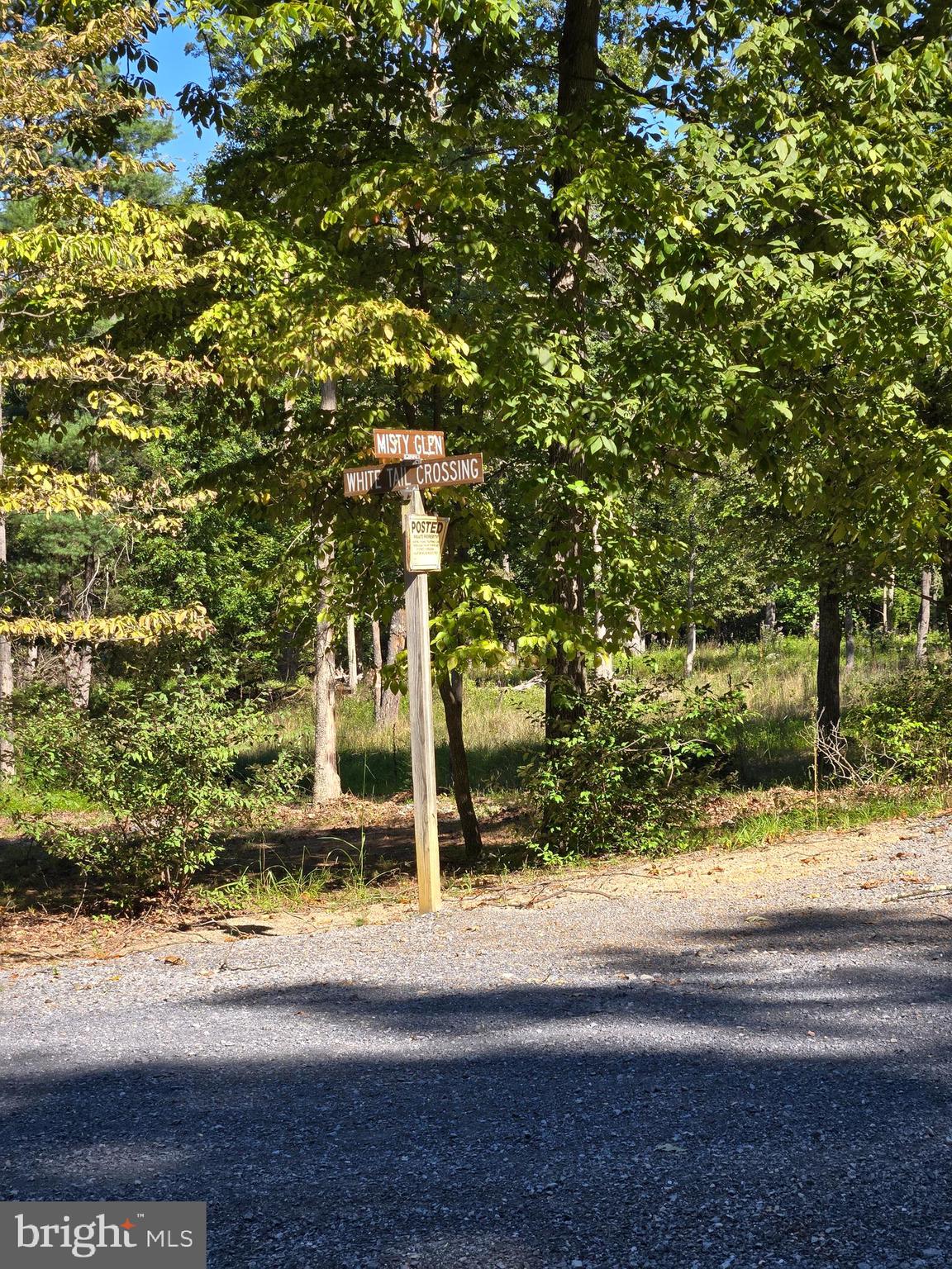 MISTY MEADOWS - Land