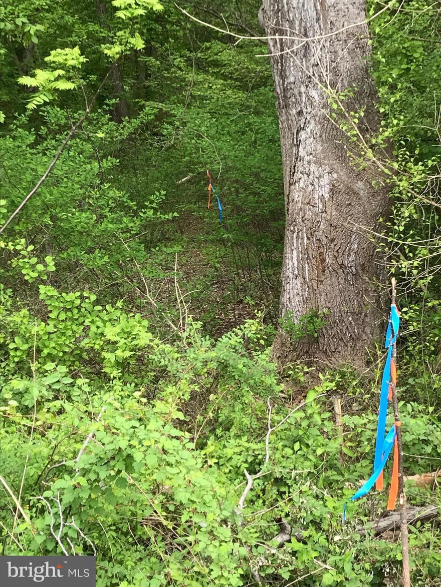 Reduced over $90,000::Wooded and beautiful 2+ acre parcel that has been, recorded with an approved perc that must be renewed (should not be a problem). with access to Mckendree road SEE ATTACHED PLAT ("LOT 1-E") *** SIGN IS POSTED AT THE RIGHT EDGE OF THE BOUNDARY LINE,** BLUE AND ORANGE RIBBON MARK THE RIGHT BOUNDARY LINE THAT GOES TO THE PROPOSED BUILDING SITE **  BLUE AND WHITE RIBBON MARK THE 4 CORNERS WHERE THE HOME IS TO BE SITED. There is also a Caruso sign next to the Coldwell Banker sign. If you don't have a builder, you can use Caruso, . . . or if you wish to build your home, you may purchase the lot without Caruso.