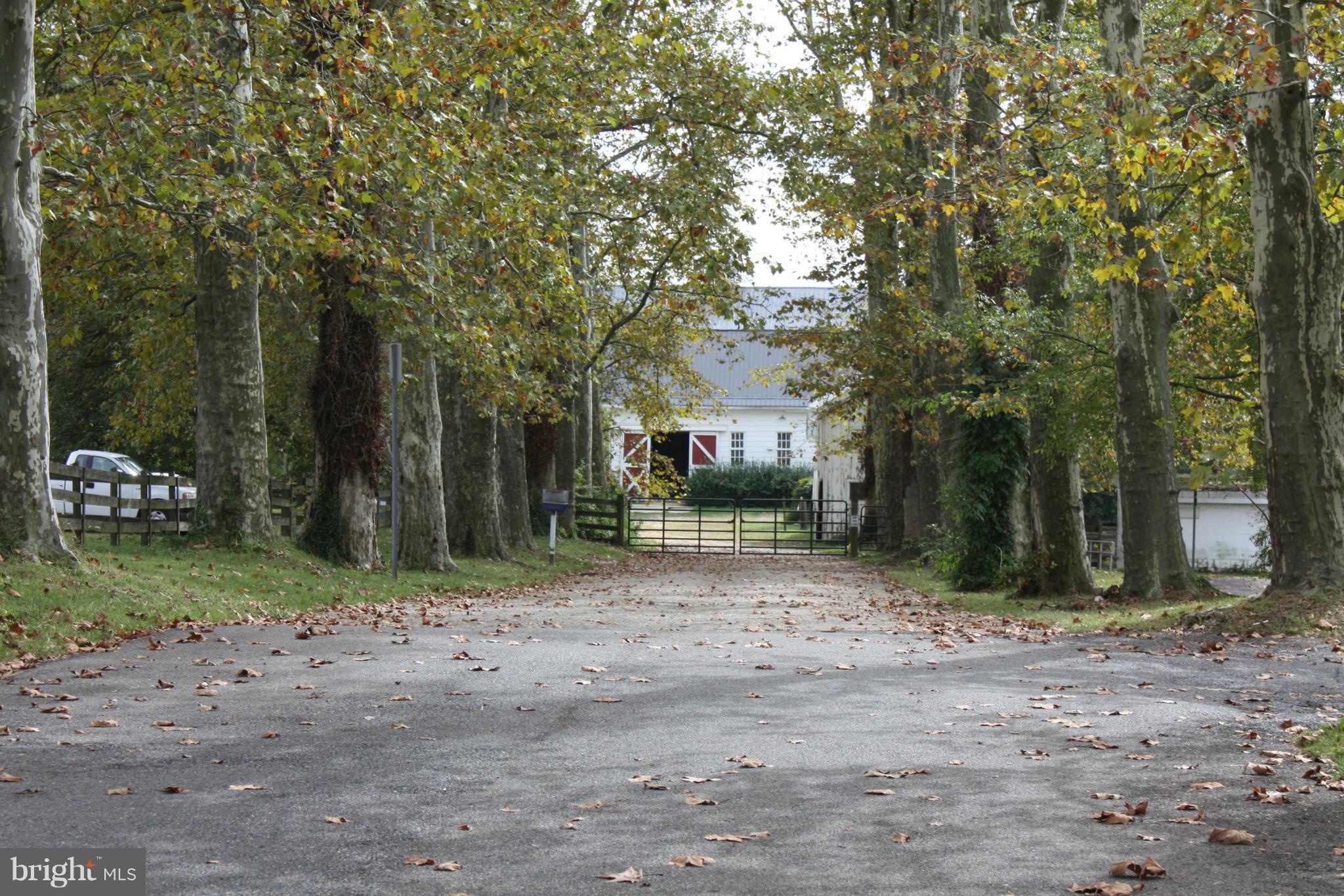 SHIPLEY ANNEX - Residential