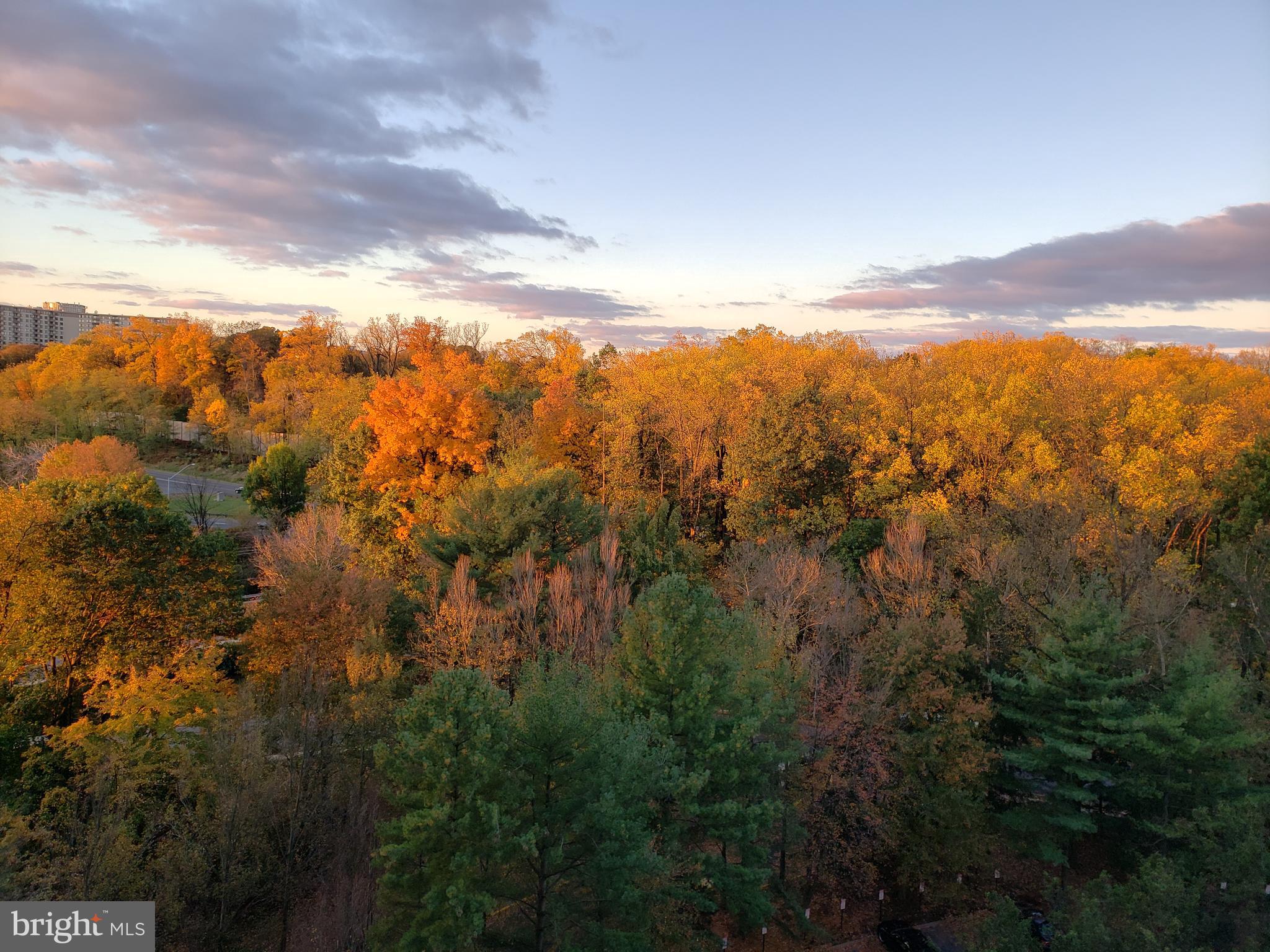 GROSVENOR PARK - Residential