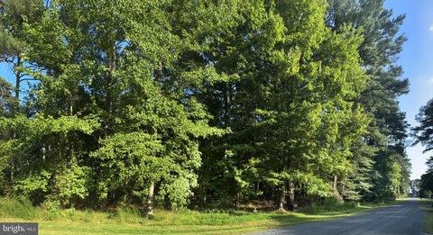 Vacant Land For Sale - LOT 1076 Amidship Drive<br/> Accomack County, GREENBACKVILLE, VA 23356