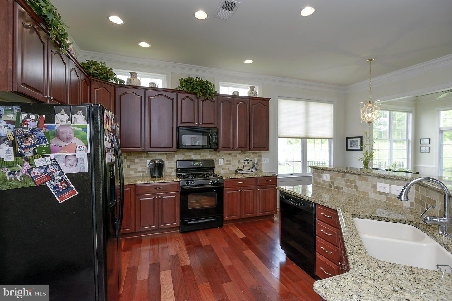 REGENCY AT DOMINION VALLEY - Residential