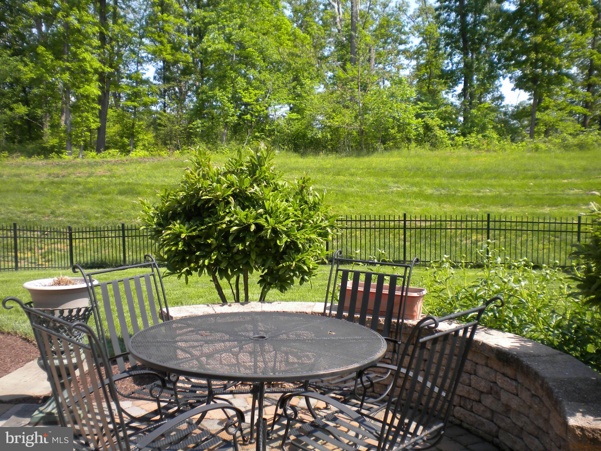 REGENCY AT DOMINION VALLEY - Residential