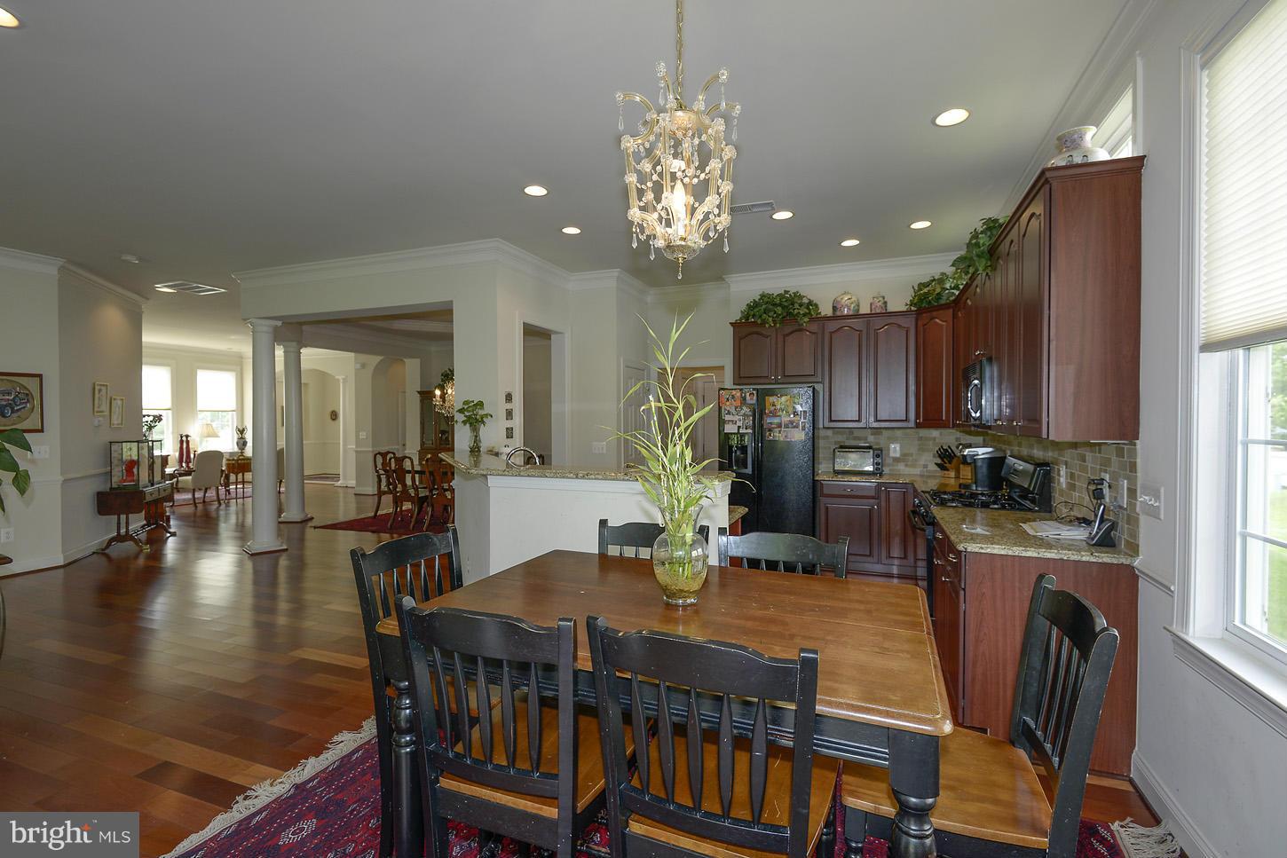 REGENCY AT DOMINION VALLEY - Residential