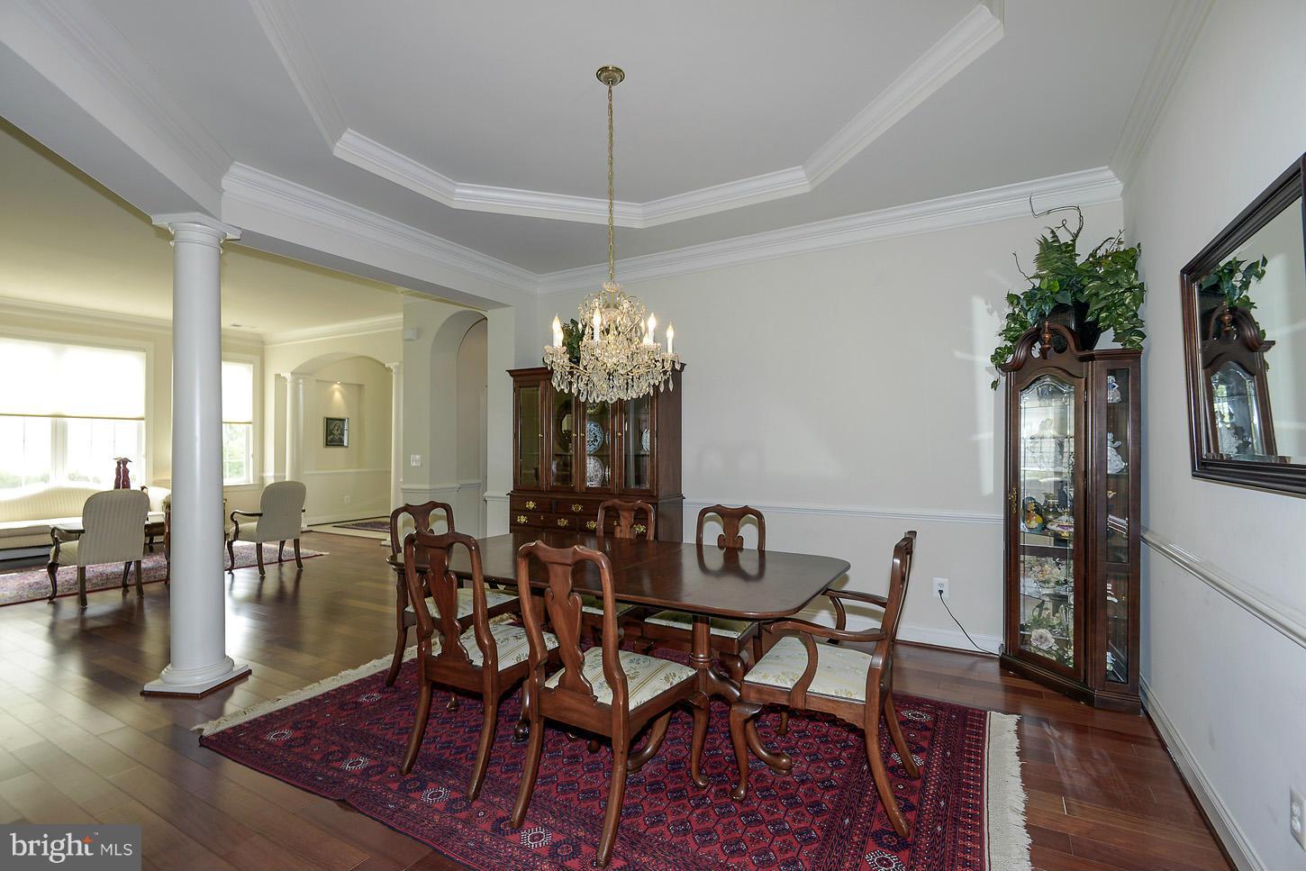 REGENCY AT DOMINION VALLEY - Residential