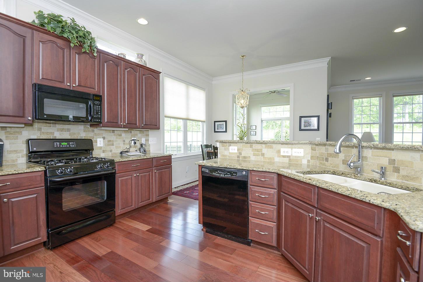 REGENCY AT DOMINION VALLEY - Residential