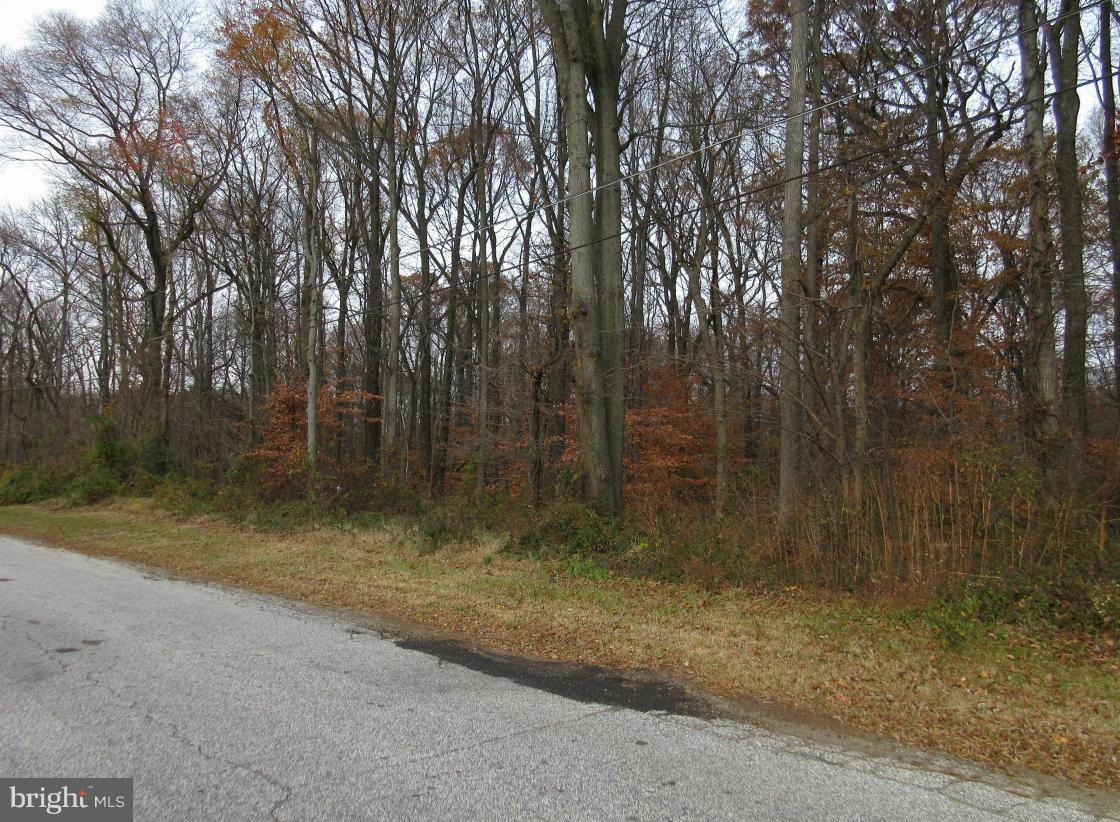 LODGE FOREST MANOR - Residential