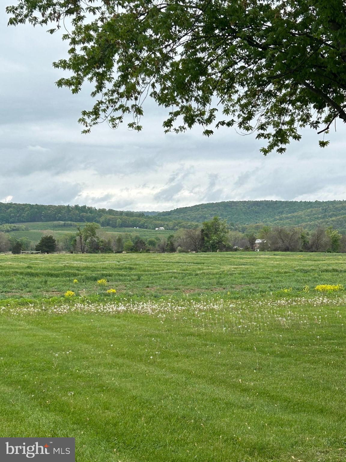 FAIRFIELD BOROUGH - Residential