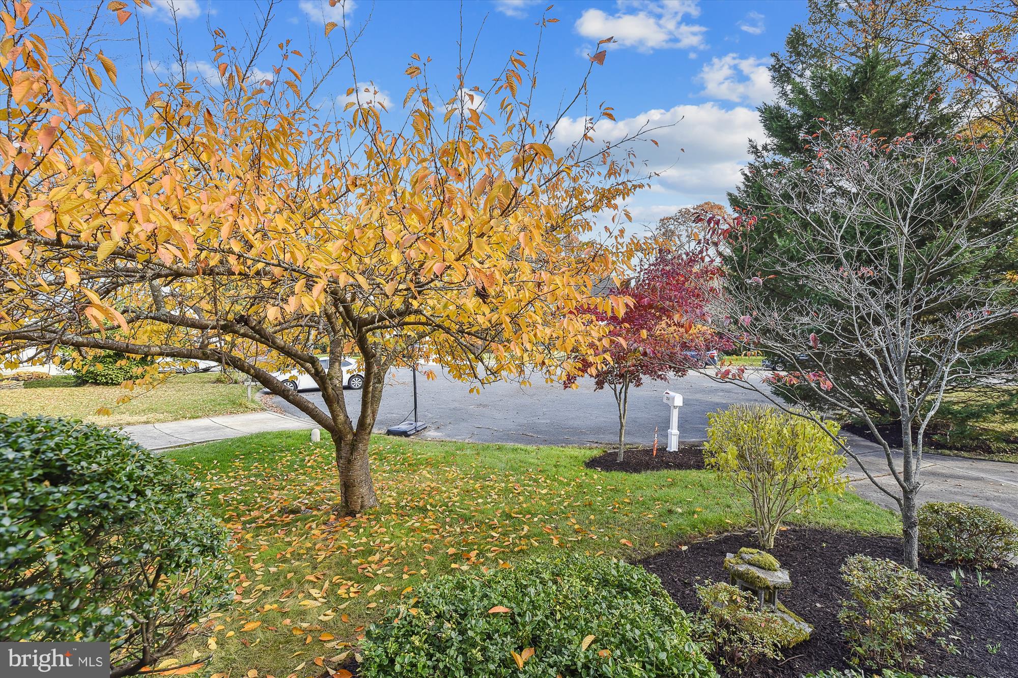 STEWARTS LANDING - Residential
