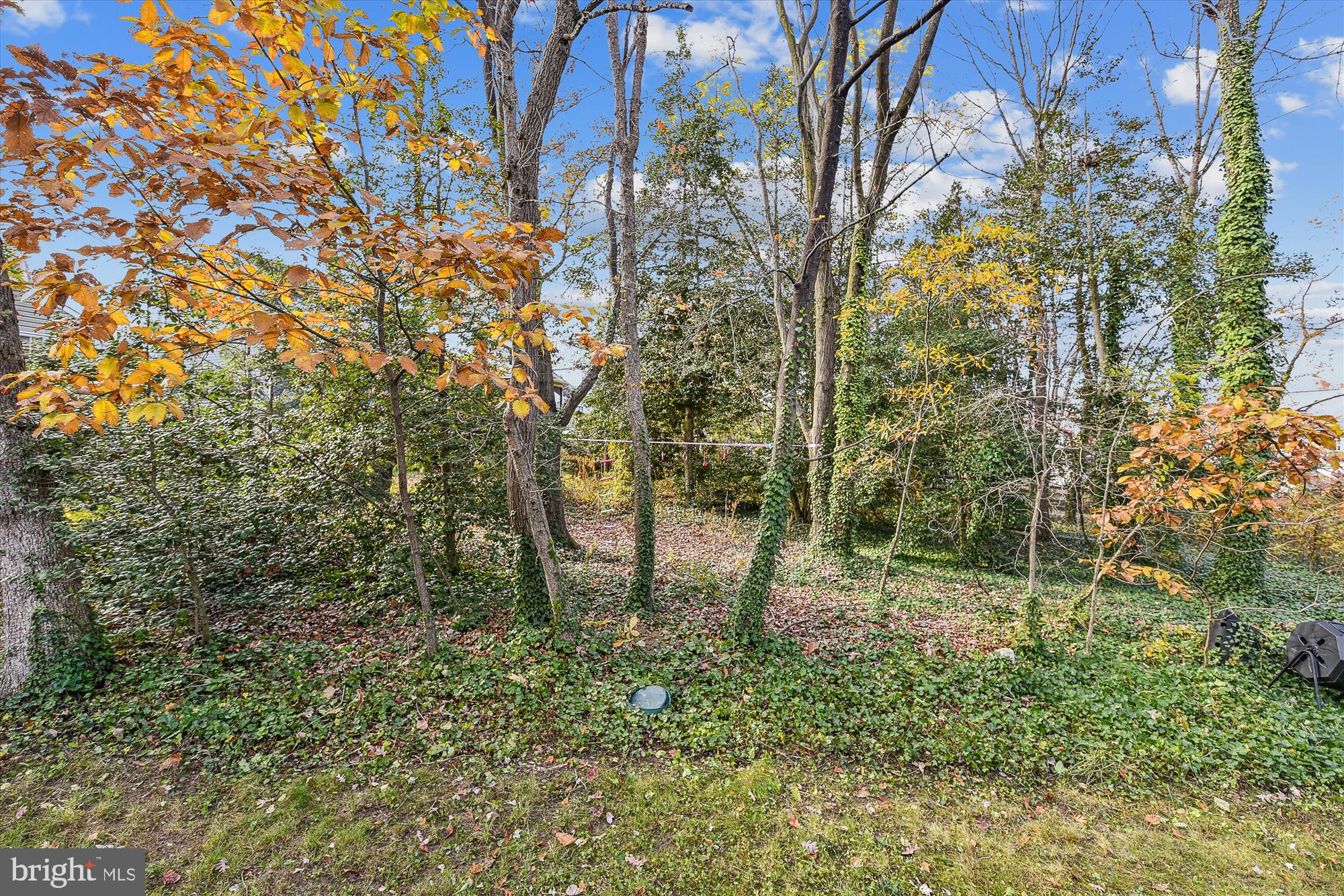 STEWARTS LANDING - Residential