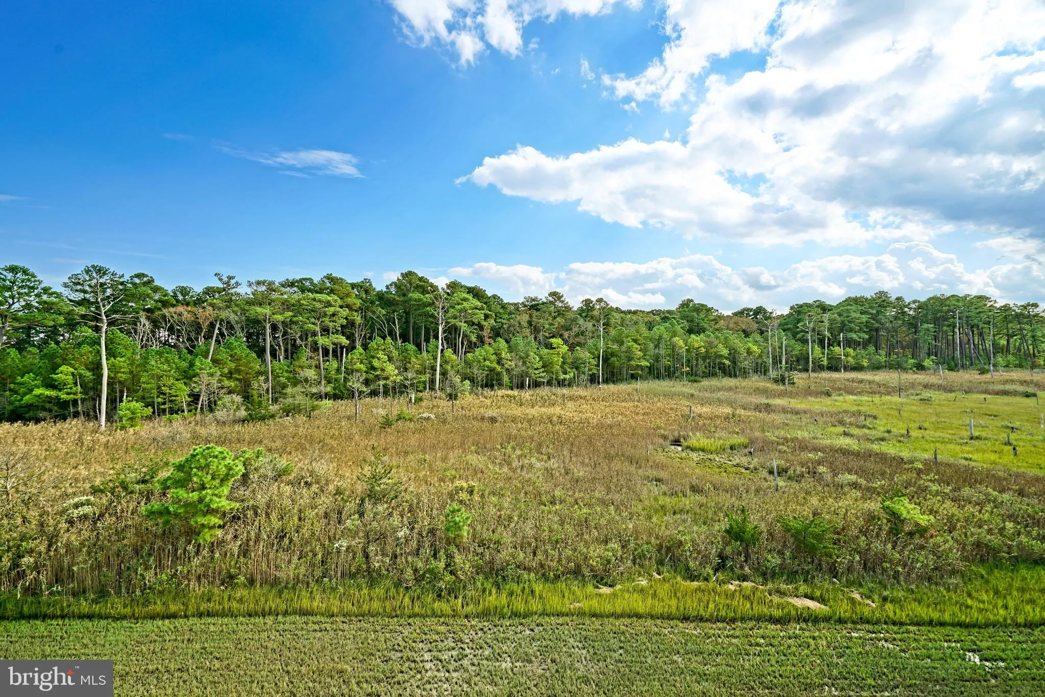 Millsboro, Delaware 19966, United States, 3 Bedrooms Bedrooms, ,3 BathroomsBathrooms,Residential,Active,221414