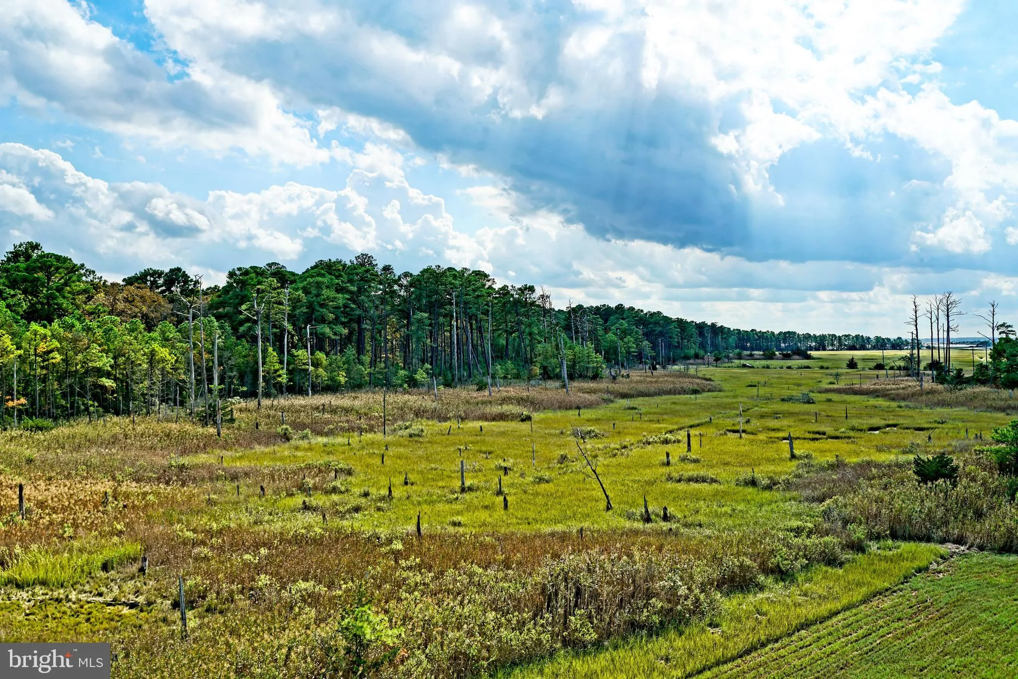 Millsboro, Delaware 19966, United States, 3 Bedrooms Bedrooms, ,3 BathroomsBathrooms,Residential,Active,221414