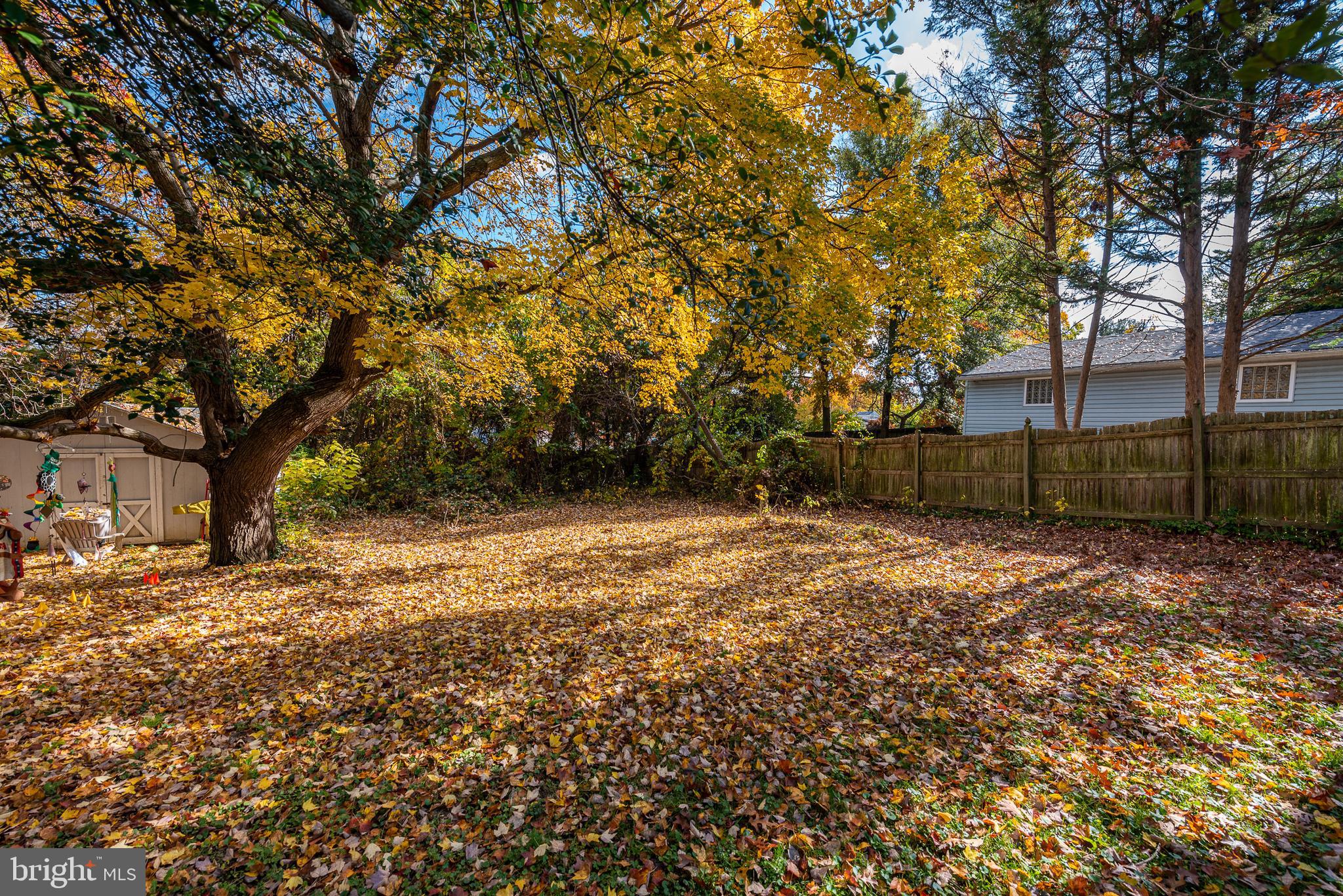 RIDGE GROVE - Residential