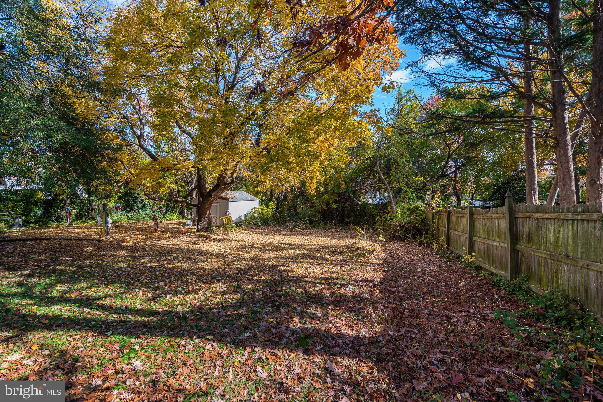 RIDGE GROVE - Residential