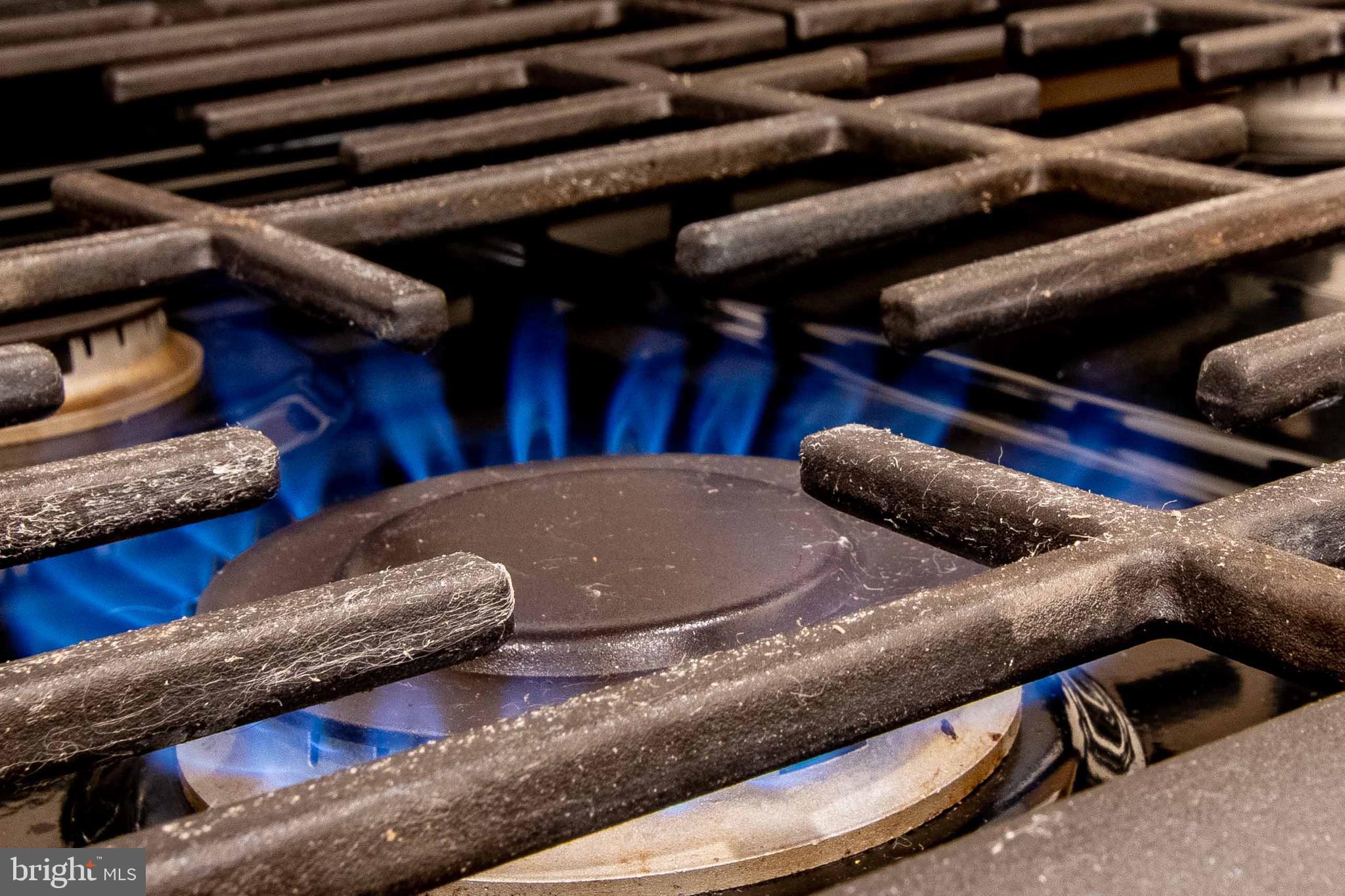 GUNSTON CORNER - Residential