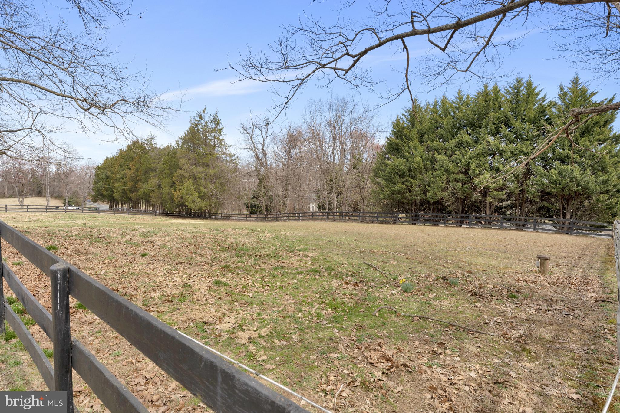 FORESTVILLE - Residential