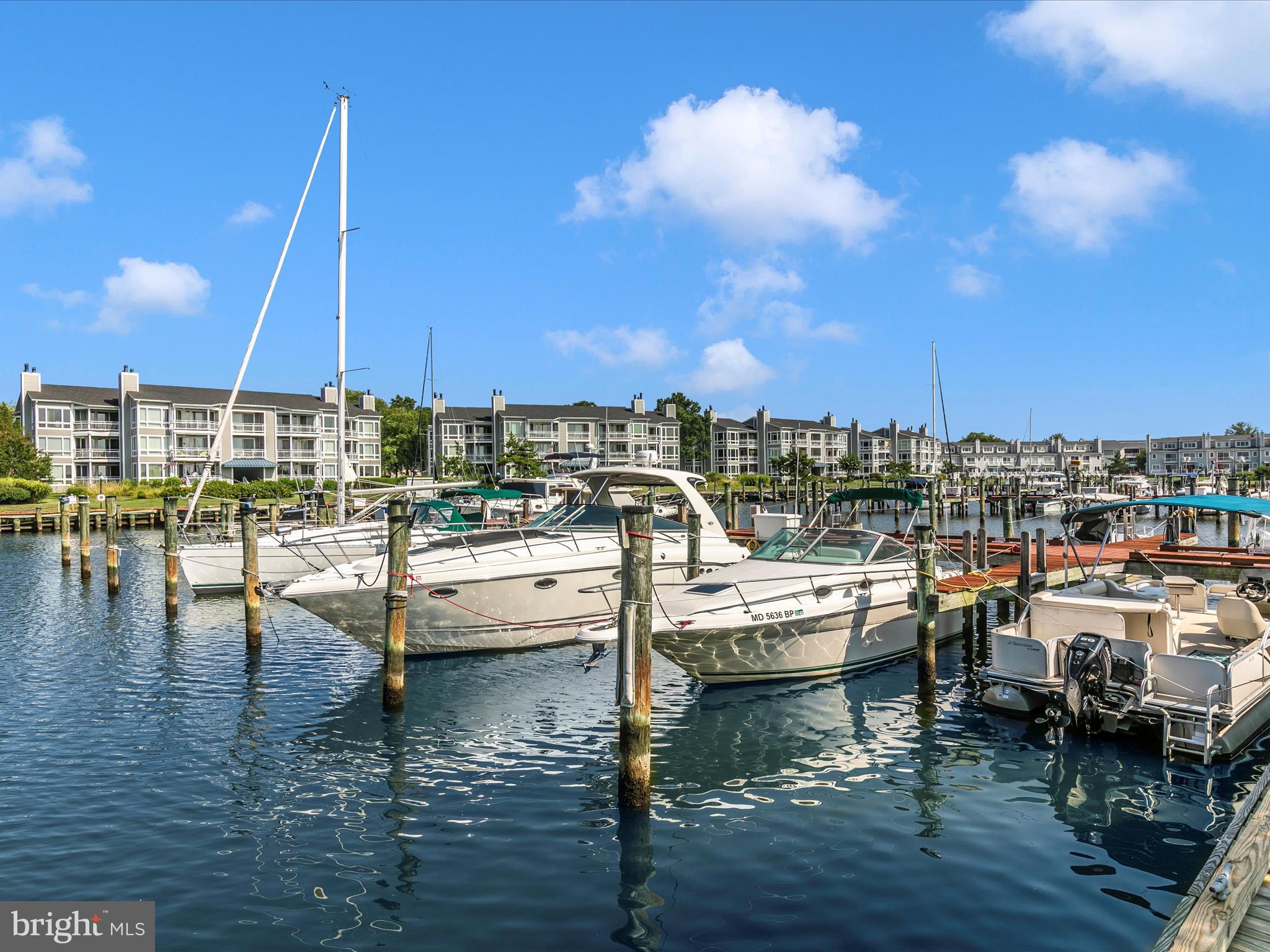 OYSTER COVE - Residential