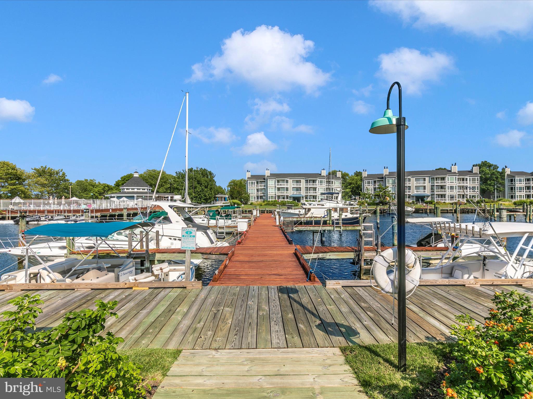 OYSTER COVE - Residential