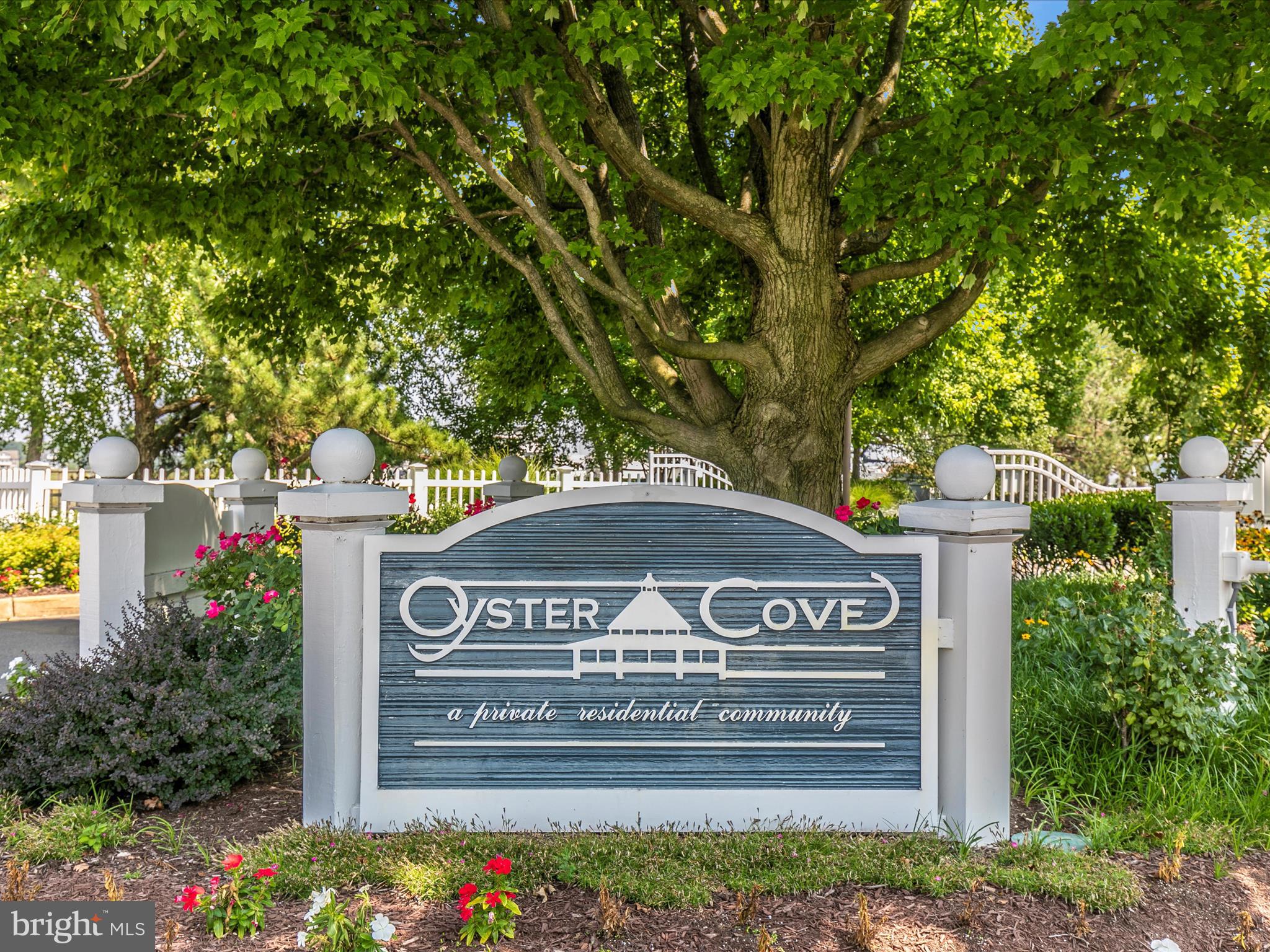 OYSTER COVE - Residential