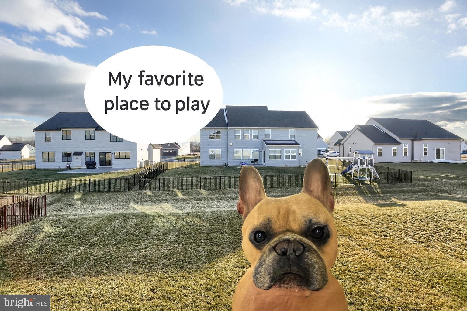 SUMMER LAYNE - Residential