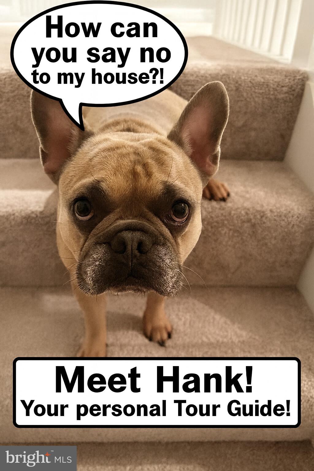 SUMMER LAYNE - Residential