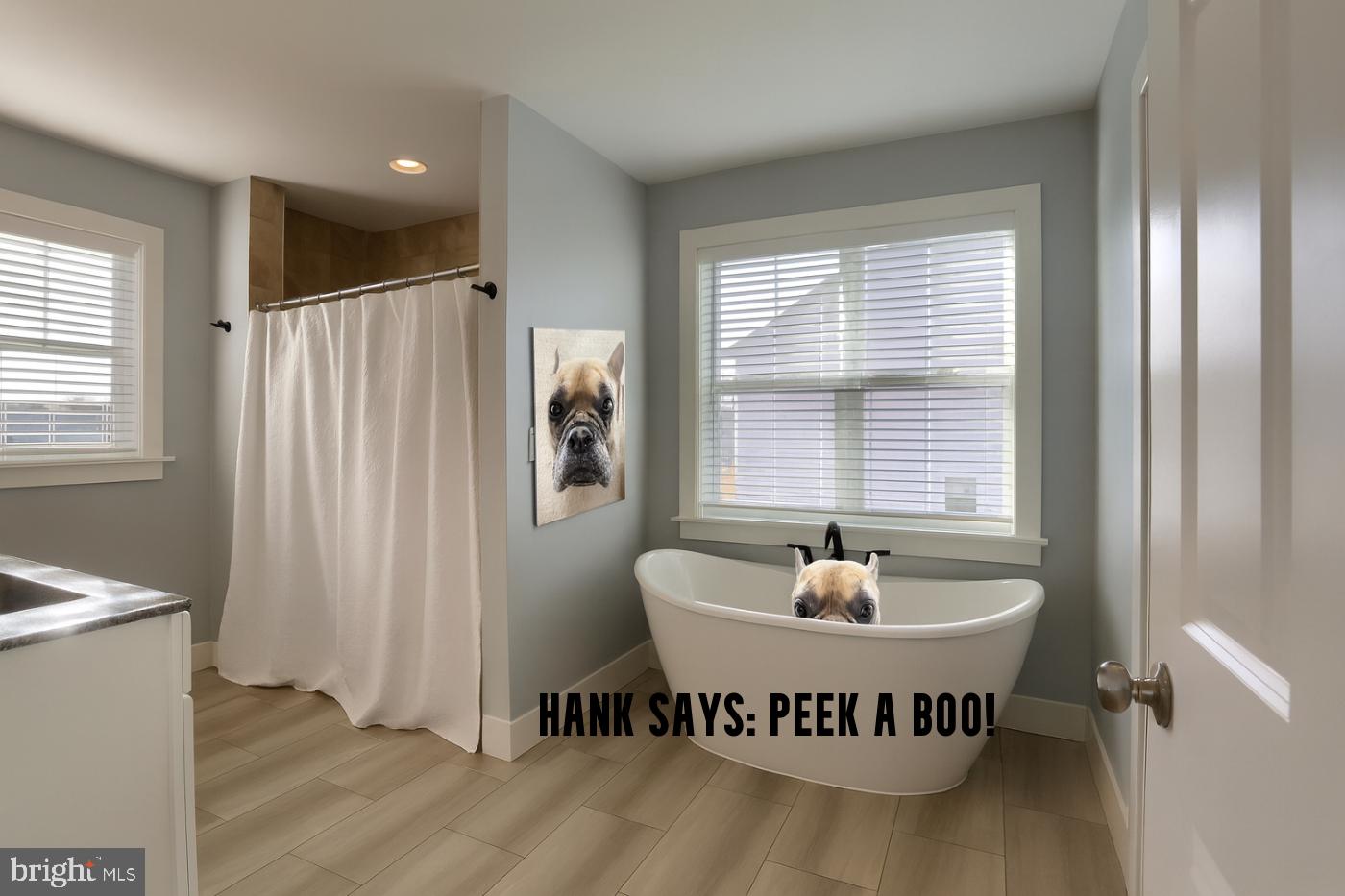 SUMMER LAYNE - Residential