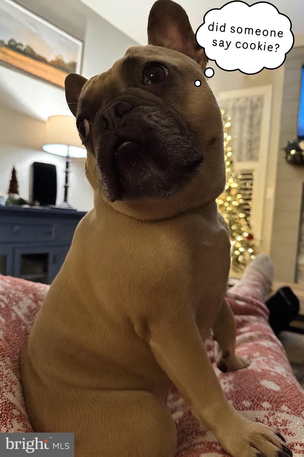 SUMMER LAYNE - Residential