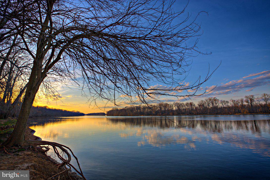 ARCOLA - Residential