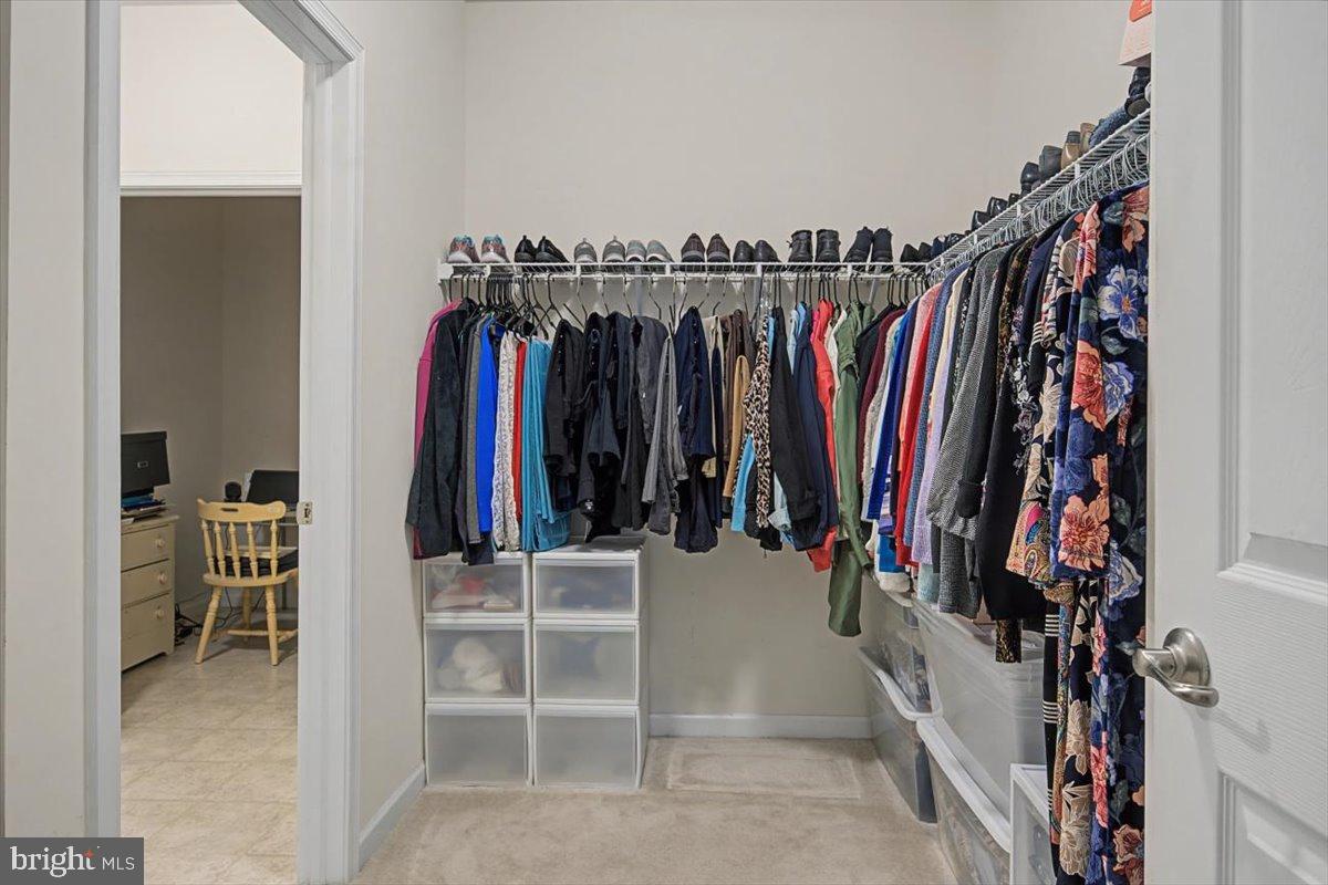 HARLOW POINTE - Residential