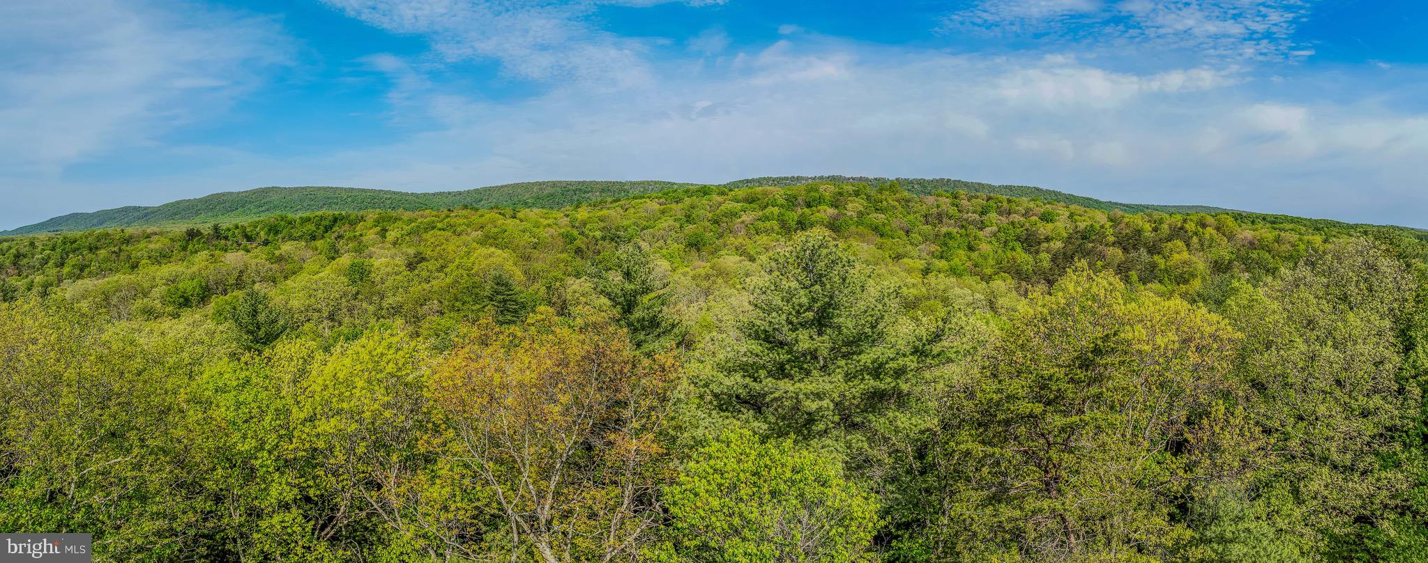 CEDAR RUN - Residential