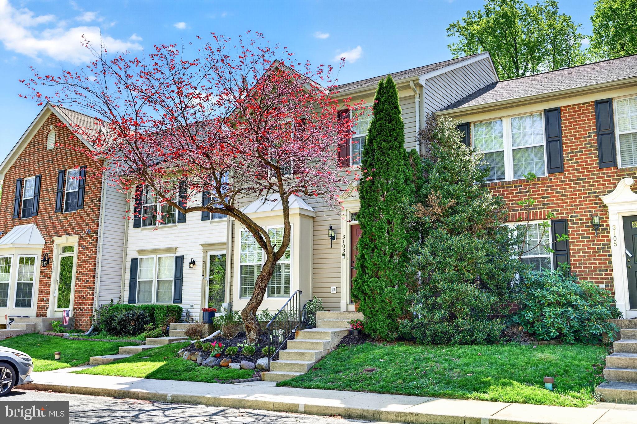 CONSTANT FRIENDSHIP - Residential