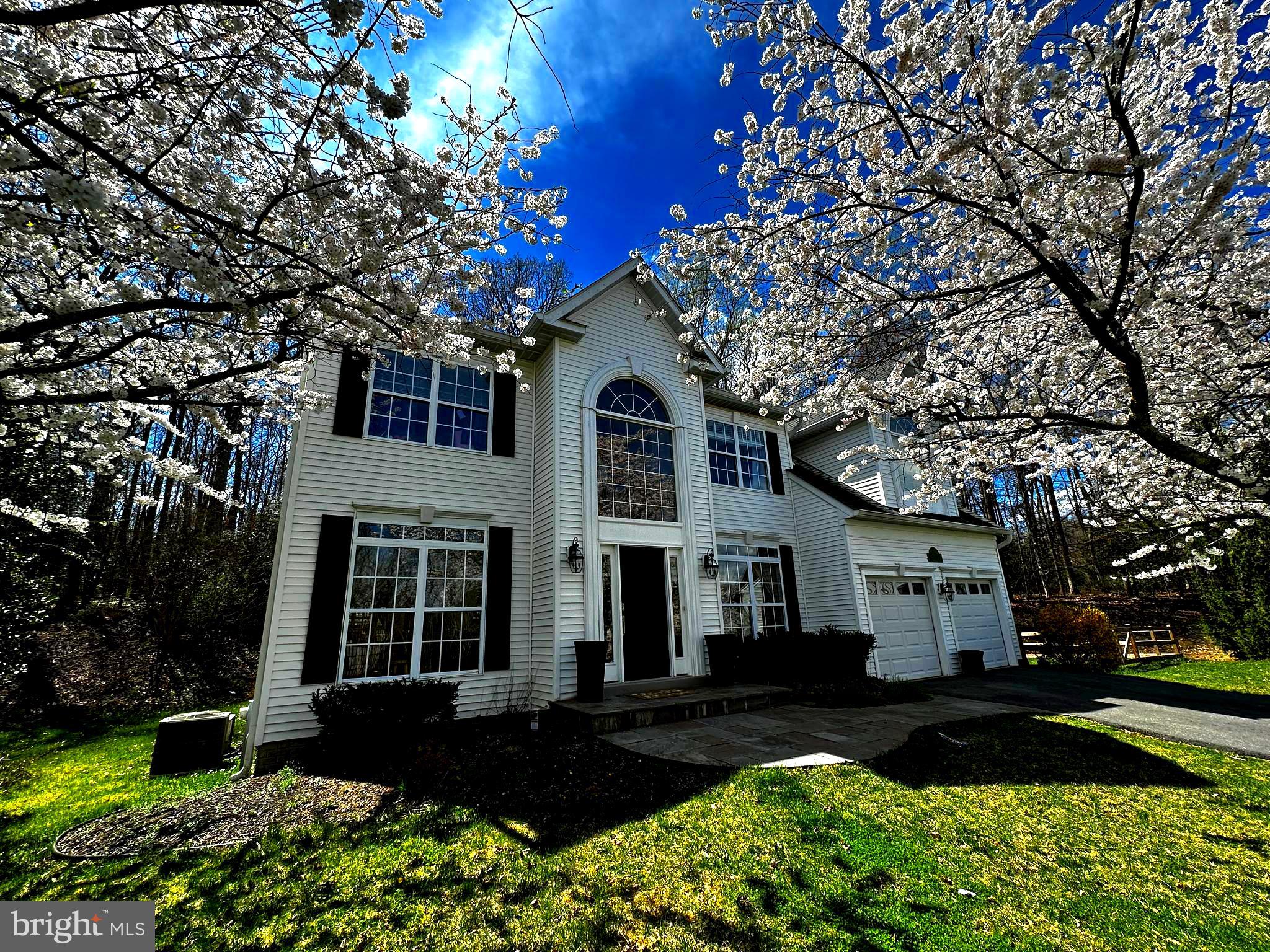 3229 HOMEWOOD ROAD