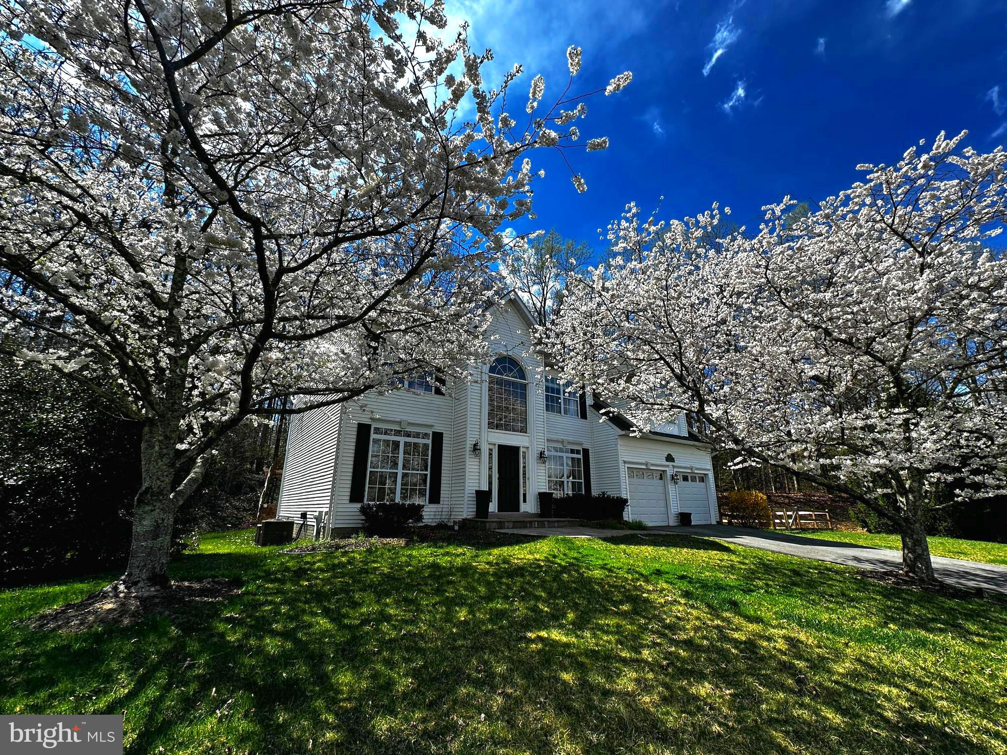 3229 HOMEWOOD ROAD
