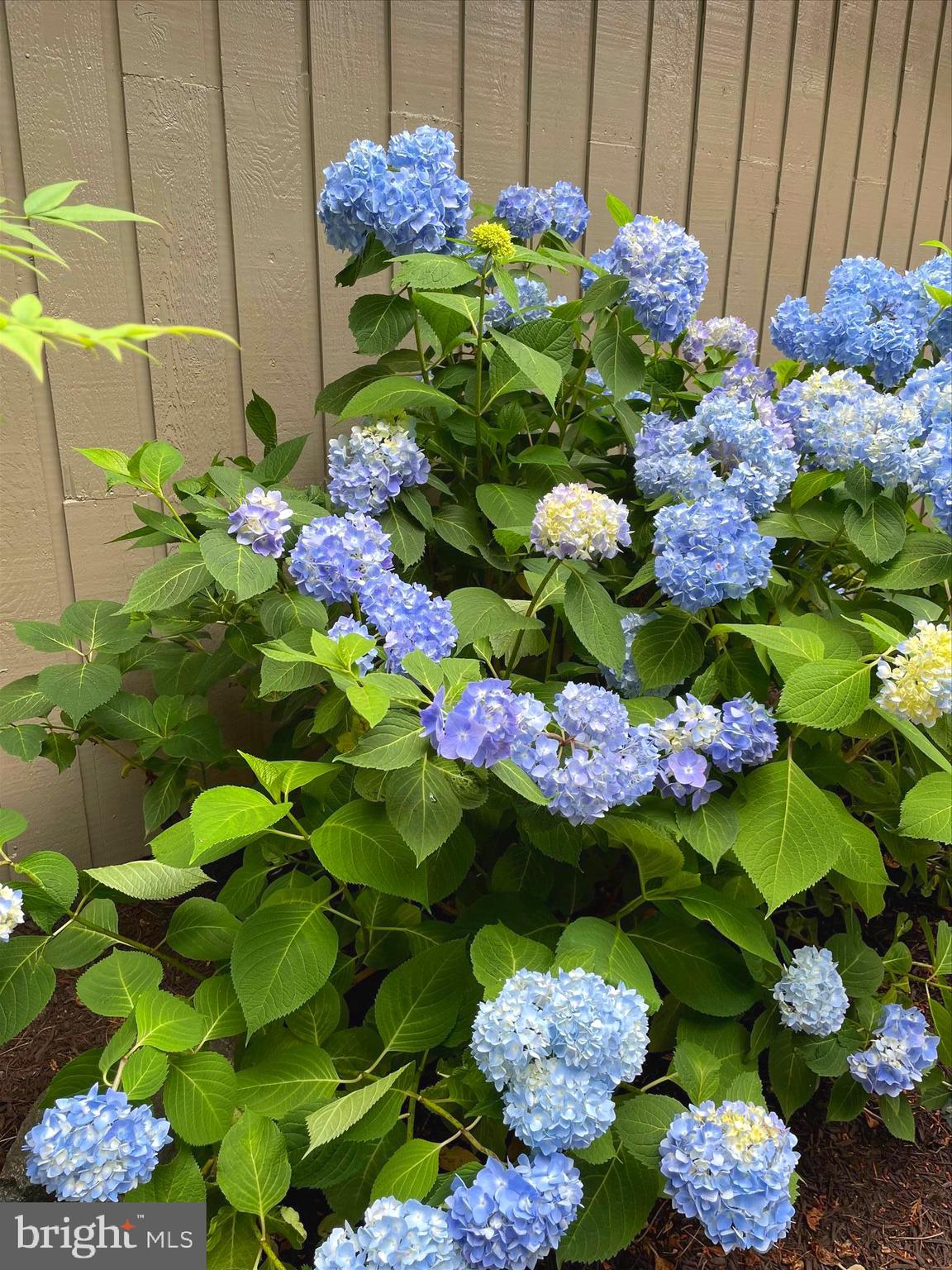 HOBBITS GLEN - Residential