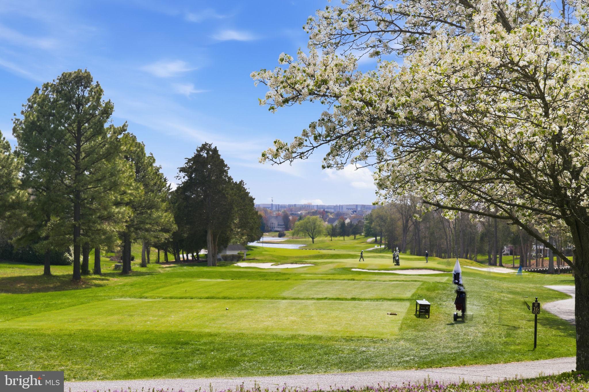 PIEDMONT - Residential