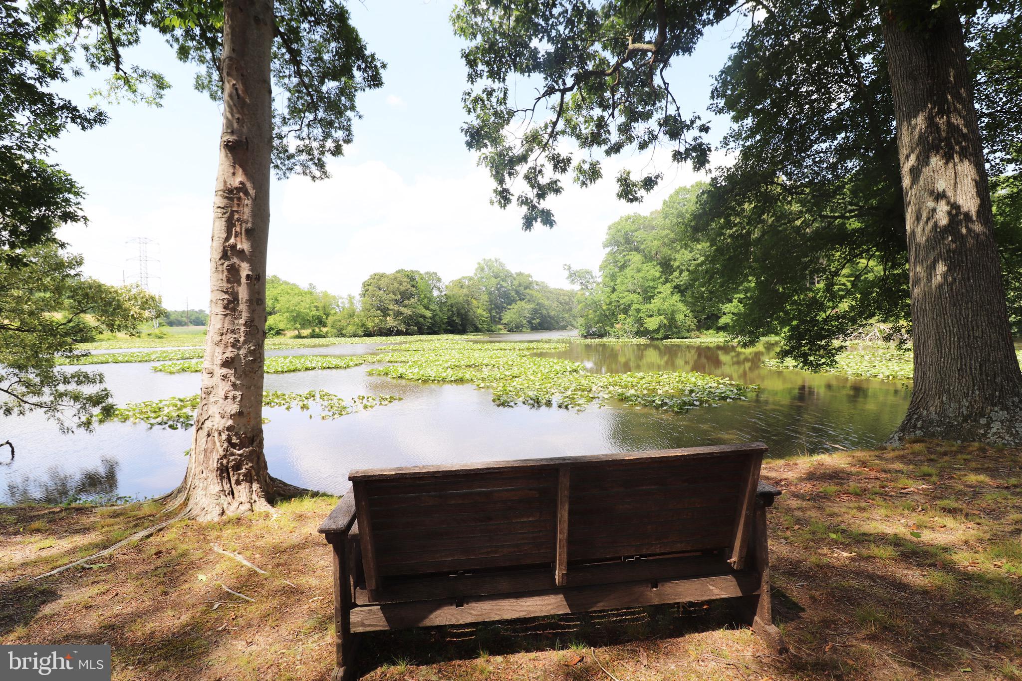 GREAT BOHEMIA MANO - Land