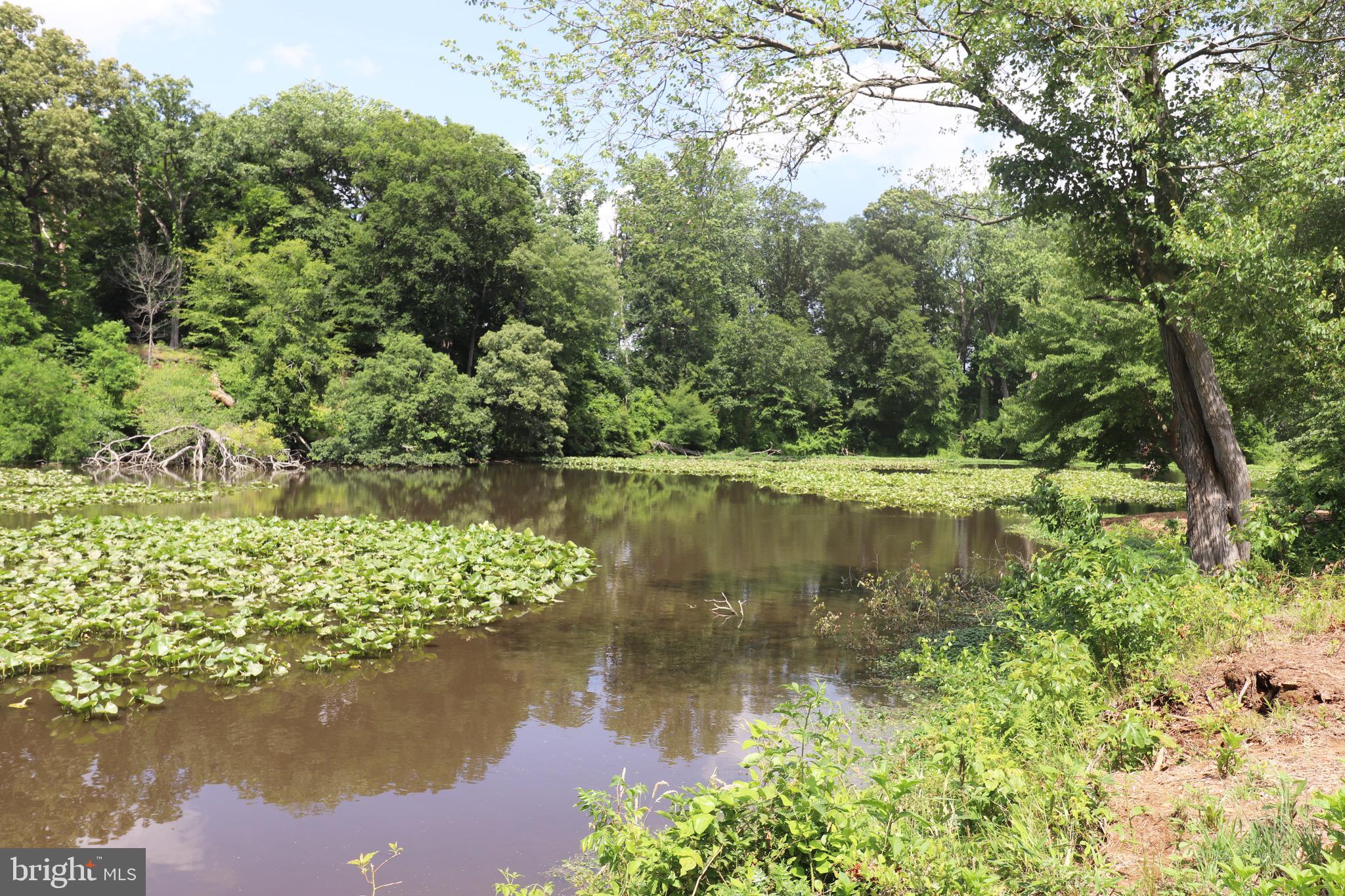 GREAT BOHEMIA MANO - Land