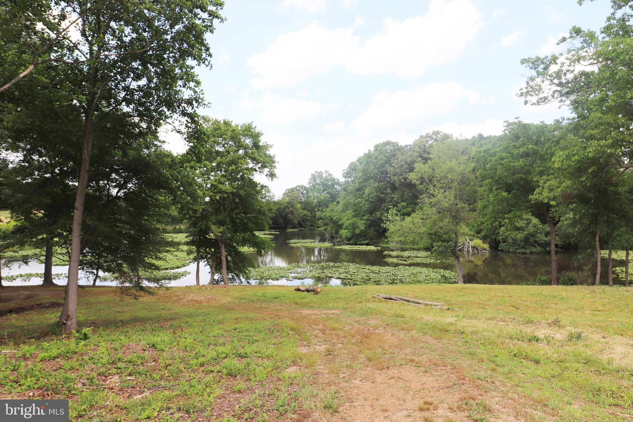 GREAT BOHEMIA MANO - Land