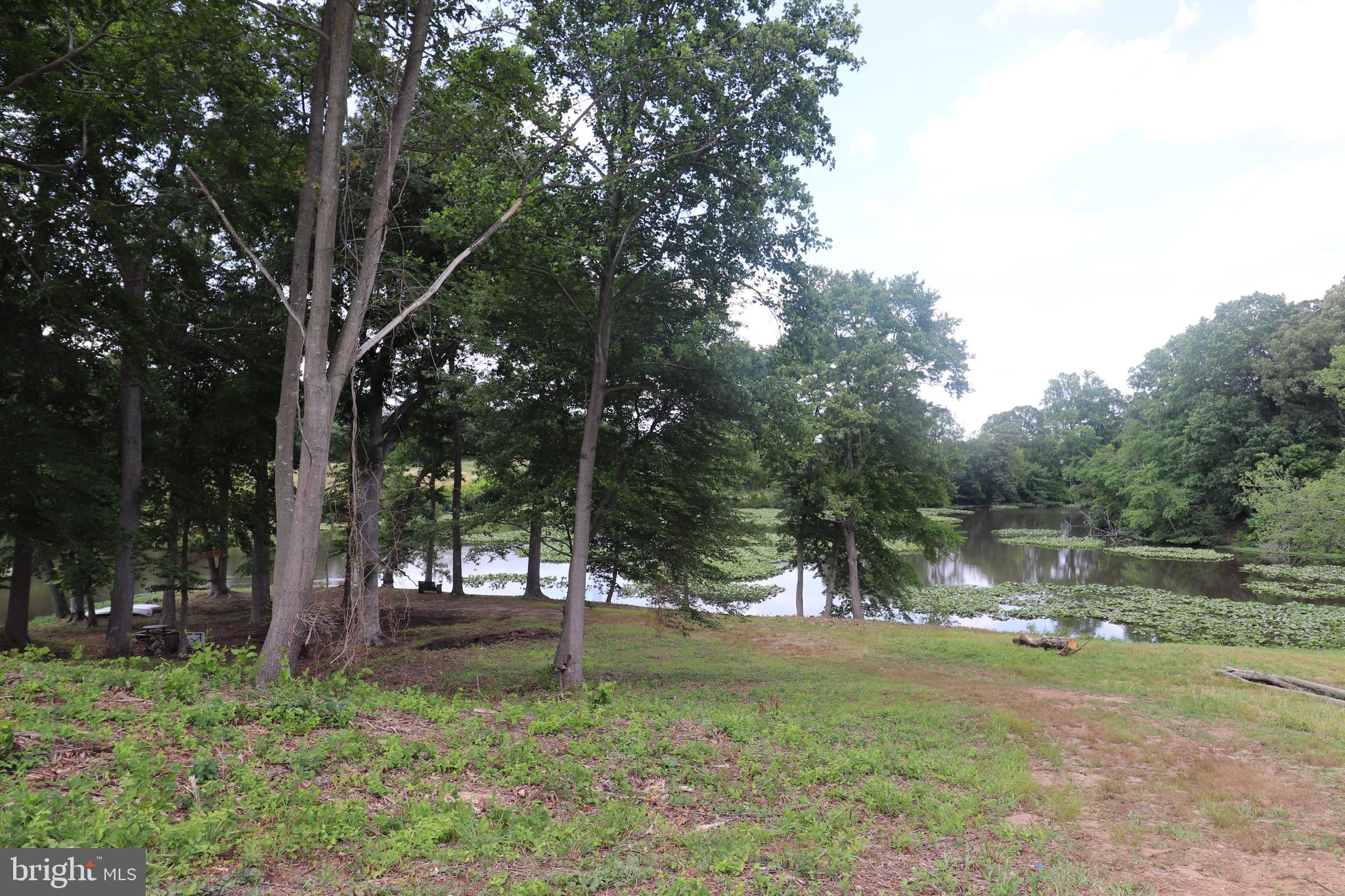 GREAT BOHEMIA MANO - Land