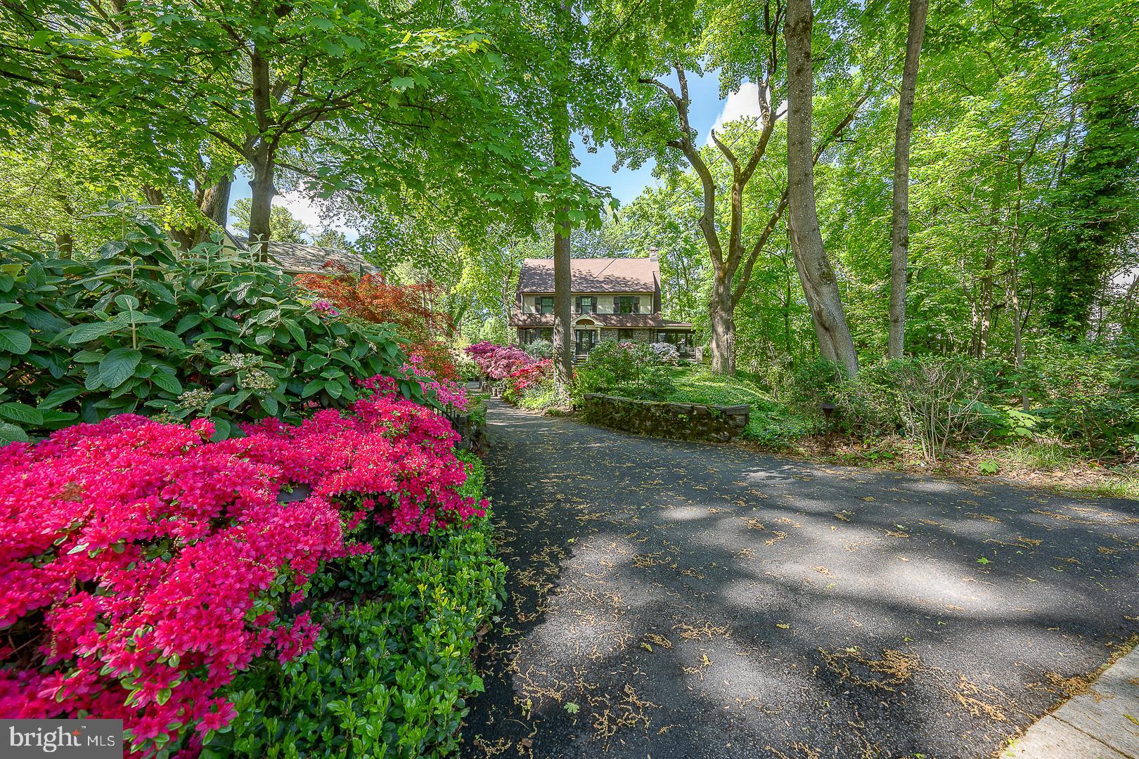 CYNWYD - Residential