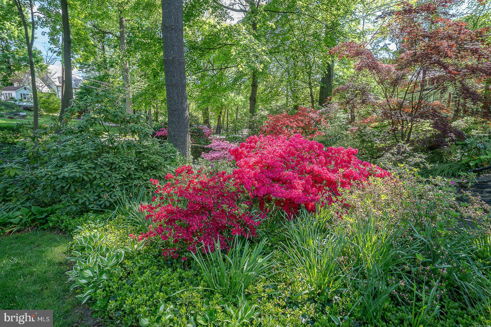 CYNWYD - Residential