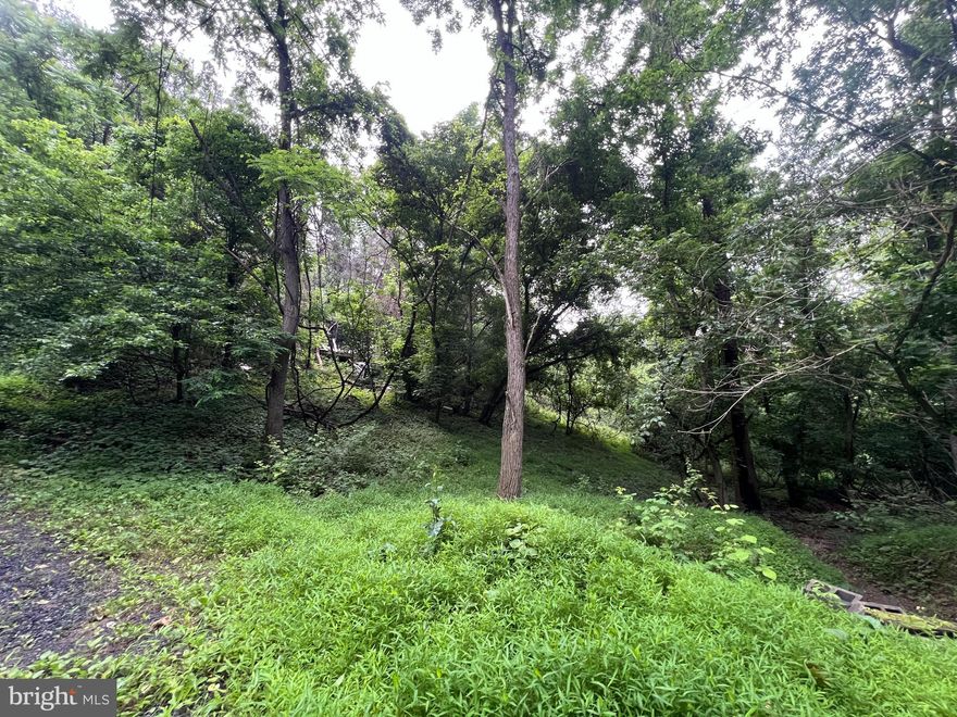 3 lots total of just over 3 acres, onsite well and septic, house burned and will need to be torn down. Lot 6, 7, and 8 convey. We have no records on well or septic please contact health department with any questions.  Property has a  ravine in the front. Covenants are in docs.