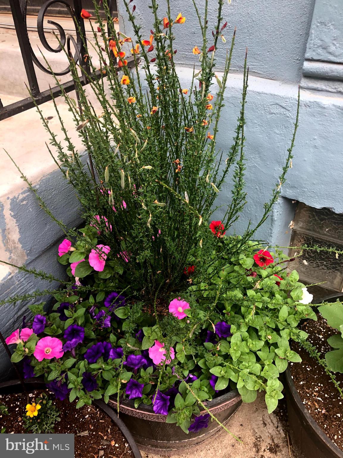 FRANCISVILLE - Residential